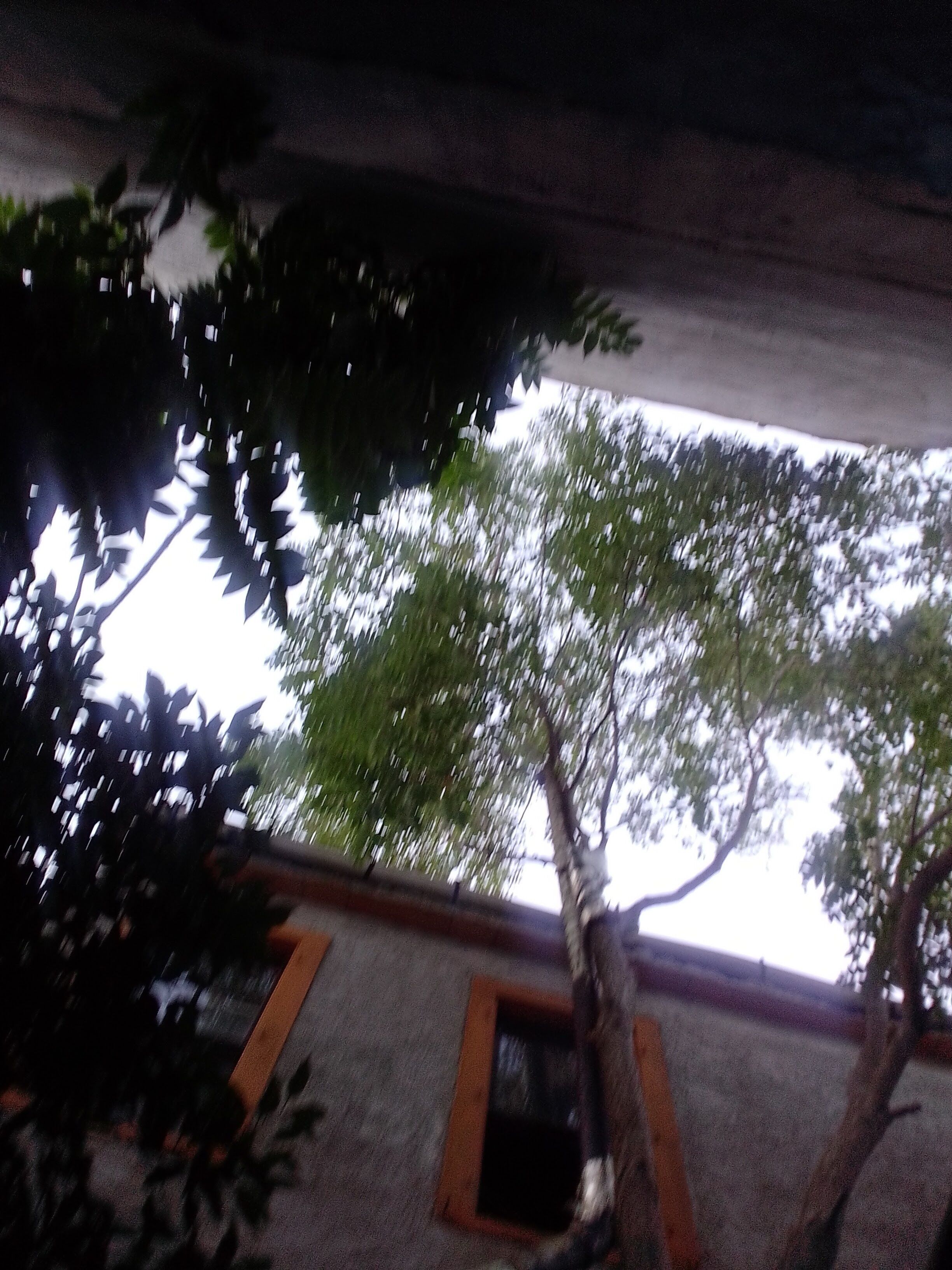Titan House Hostel