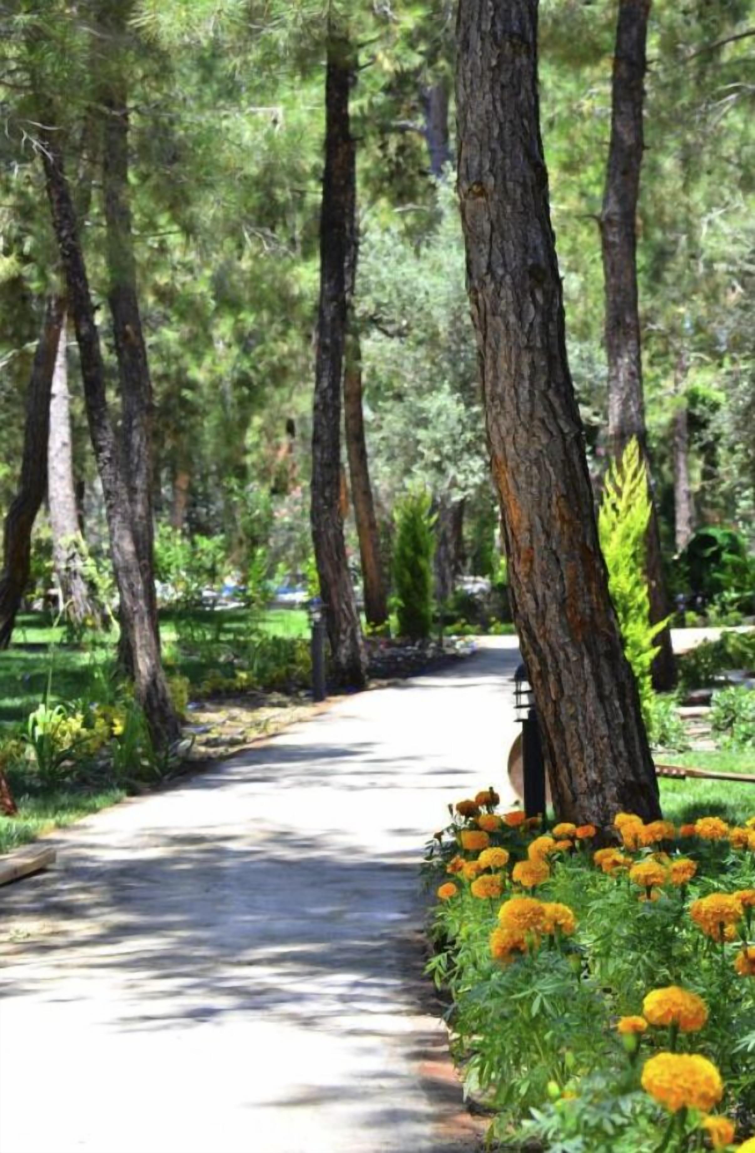 Pine Villas & Apartments Kusadasi