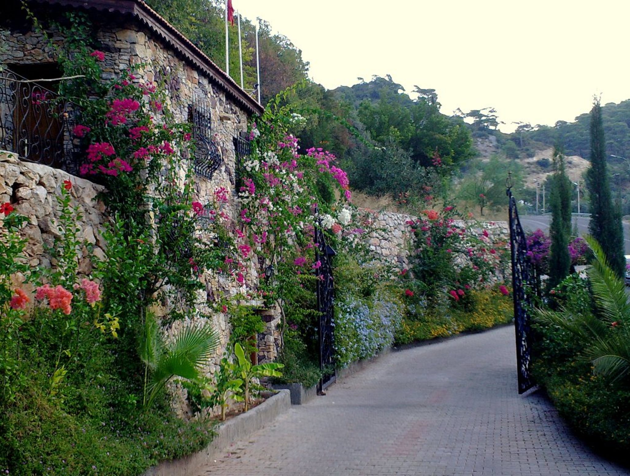 Paradise Garden Hotel
