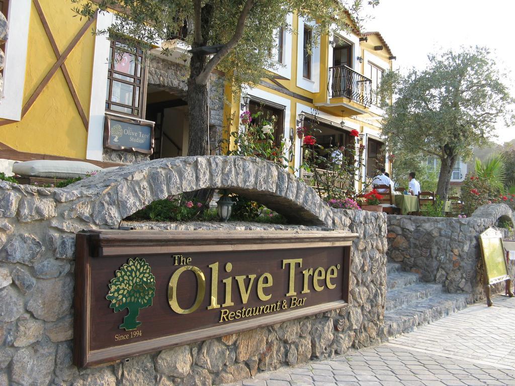The Olive Tree Studios