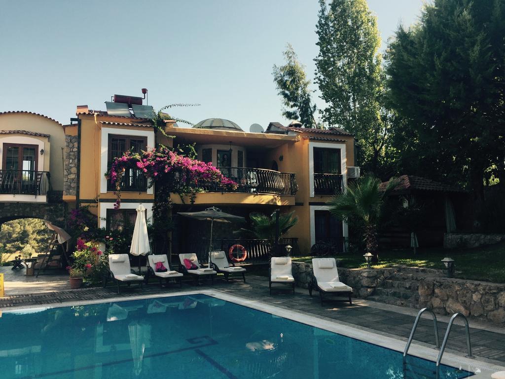 The Olive Tree Studios