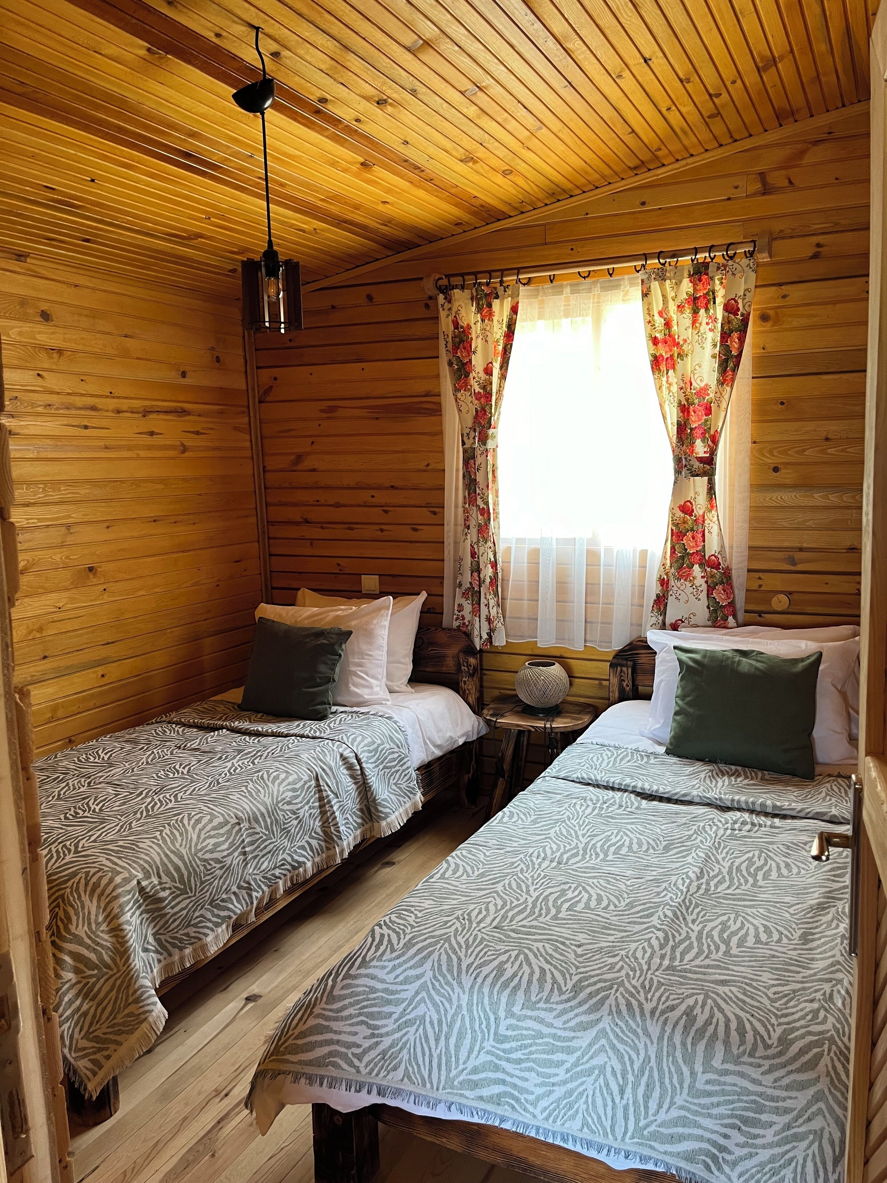 Afera Koy Evi