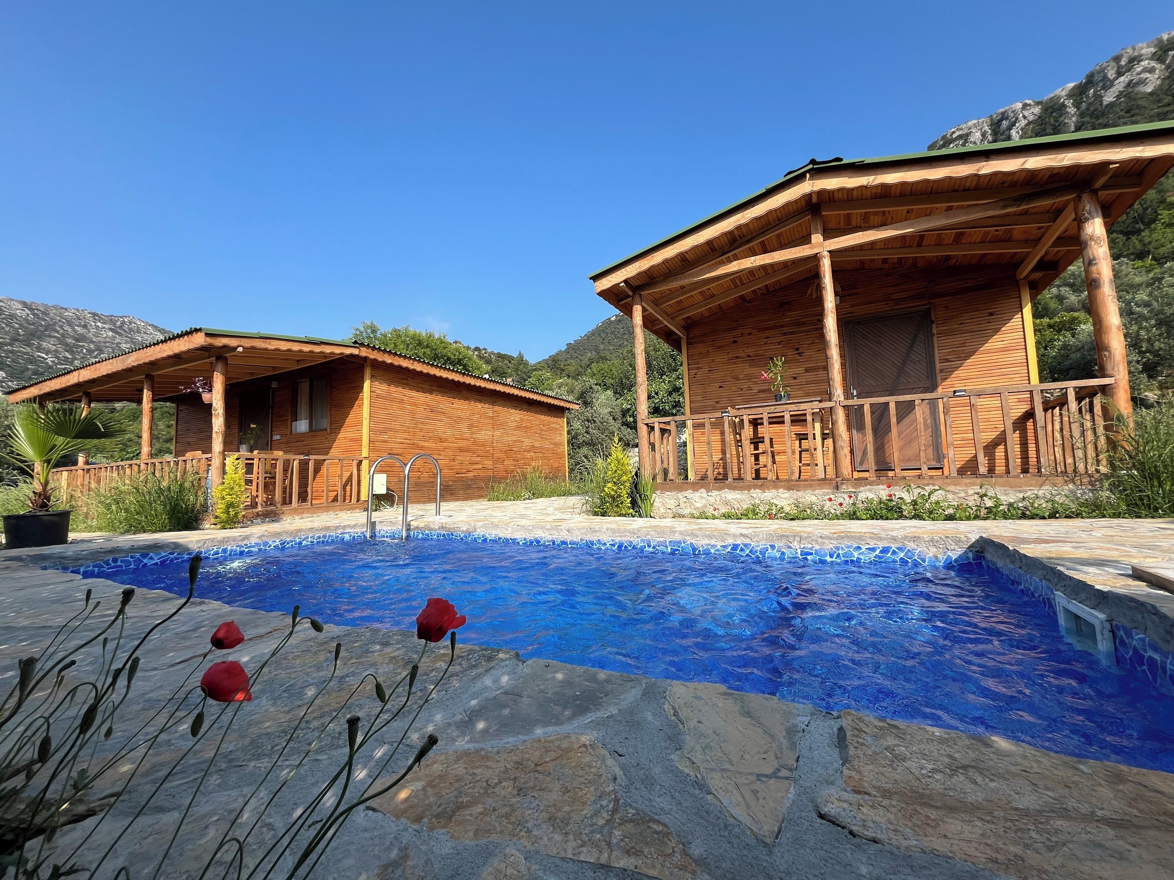 Afera Koy Evi