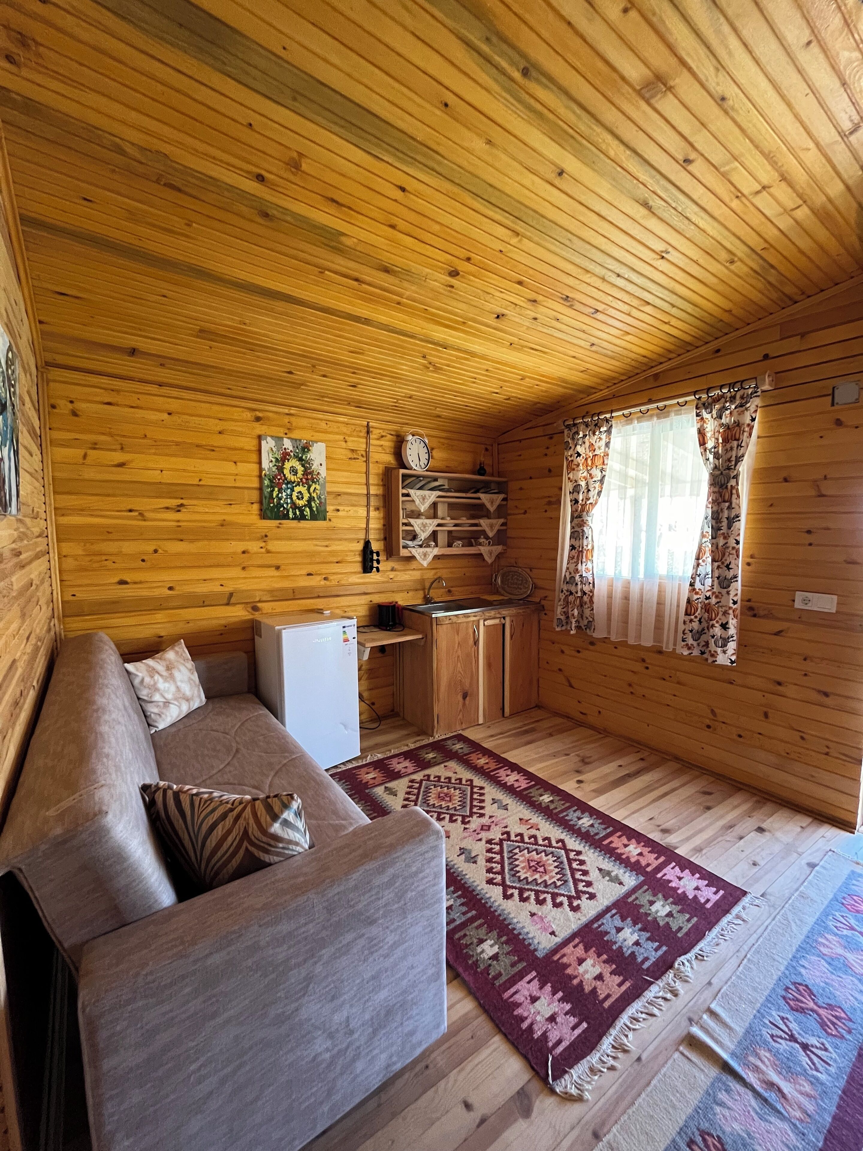 Afera Koy Evi