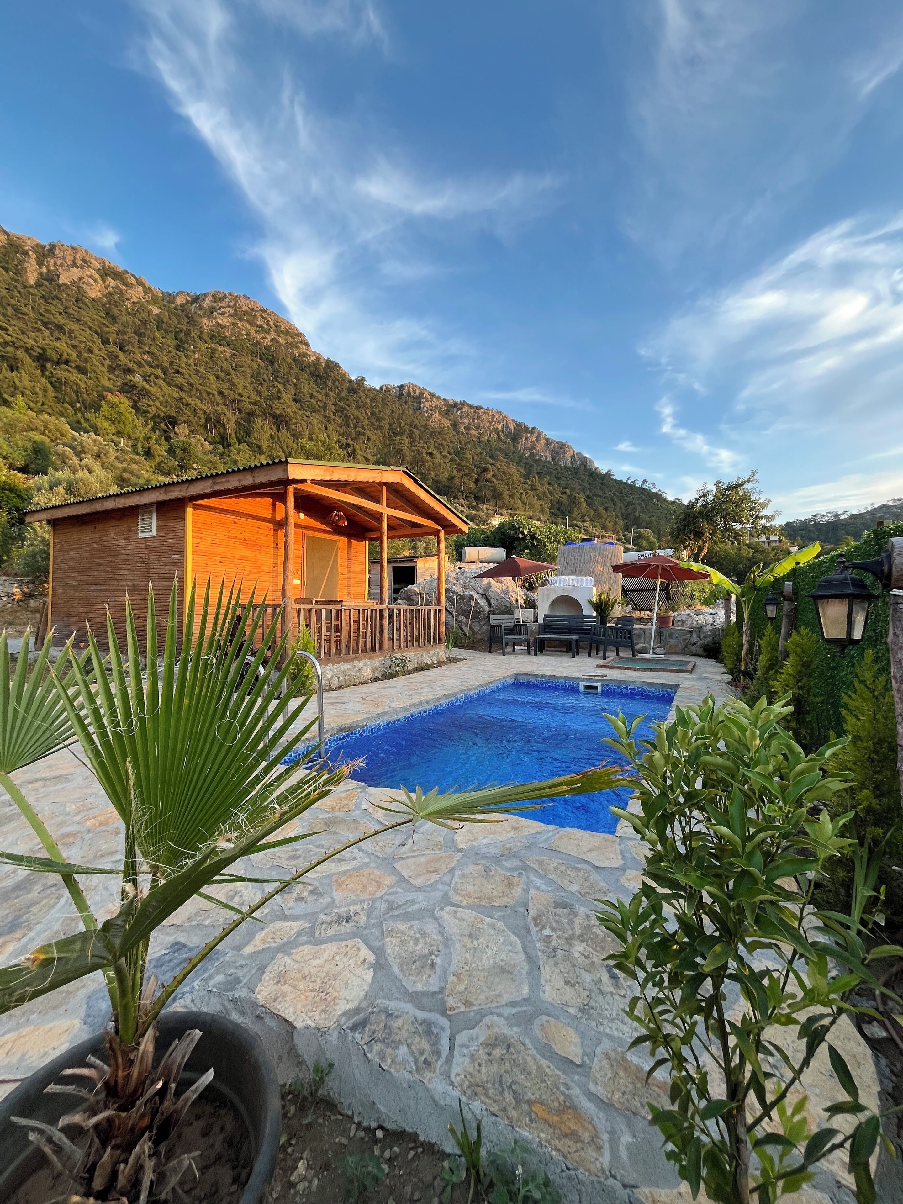 Afera Koy Evi