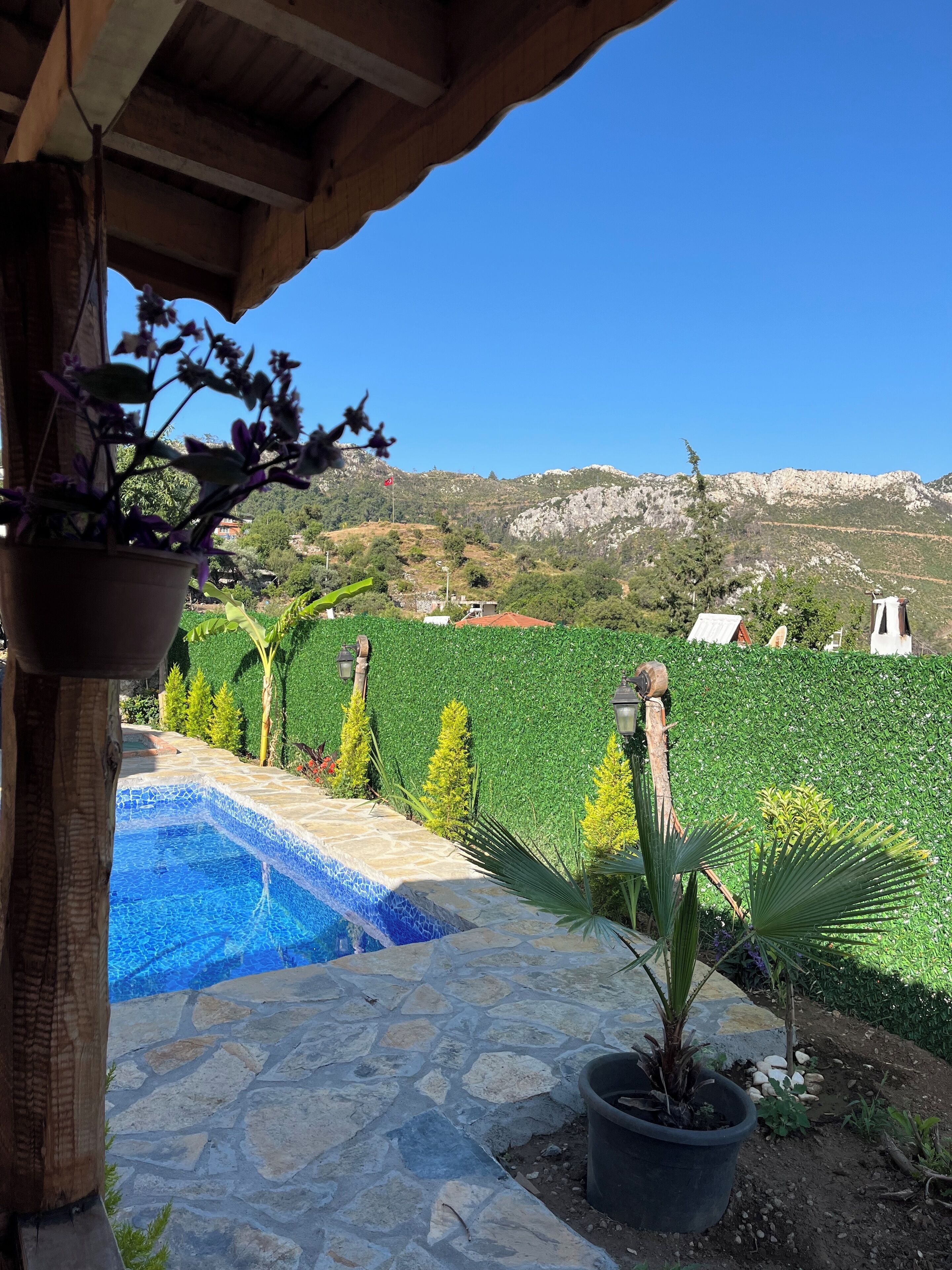 Afera Koy Evi