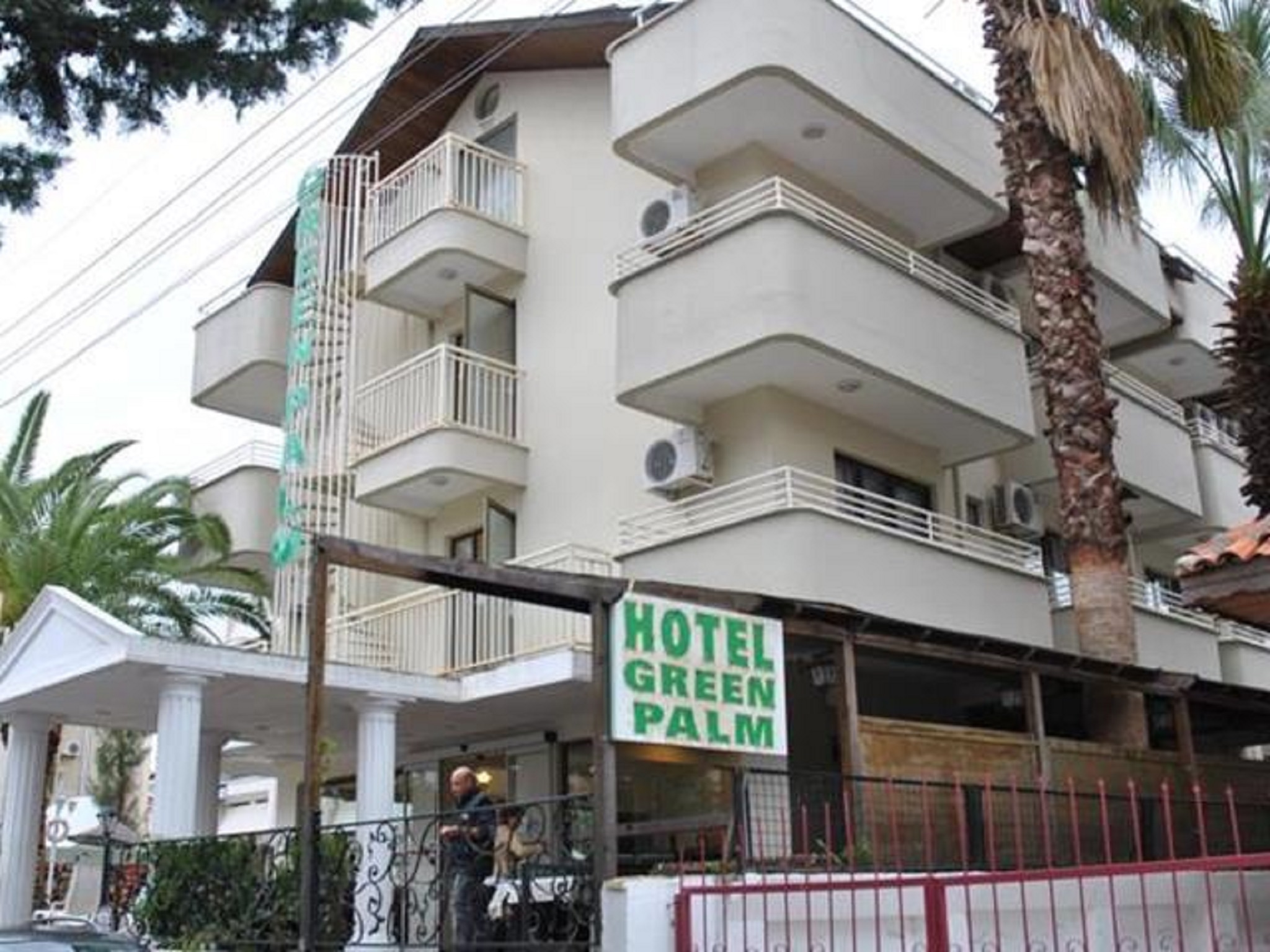 Green Palm