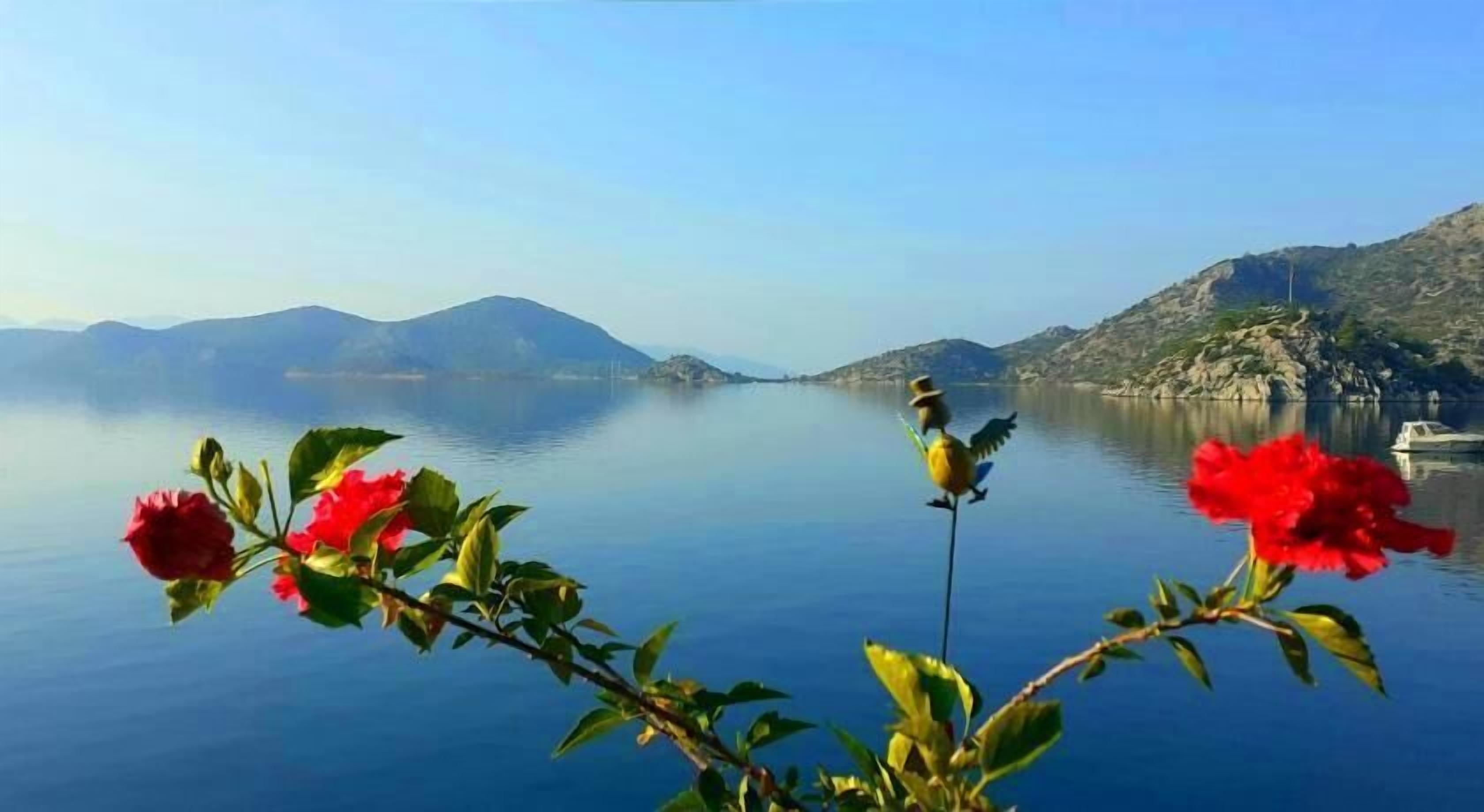 Metto Bozburun