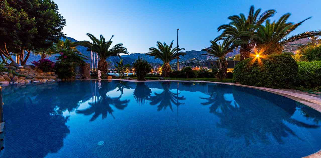 Palmetto Resort Hotel