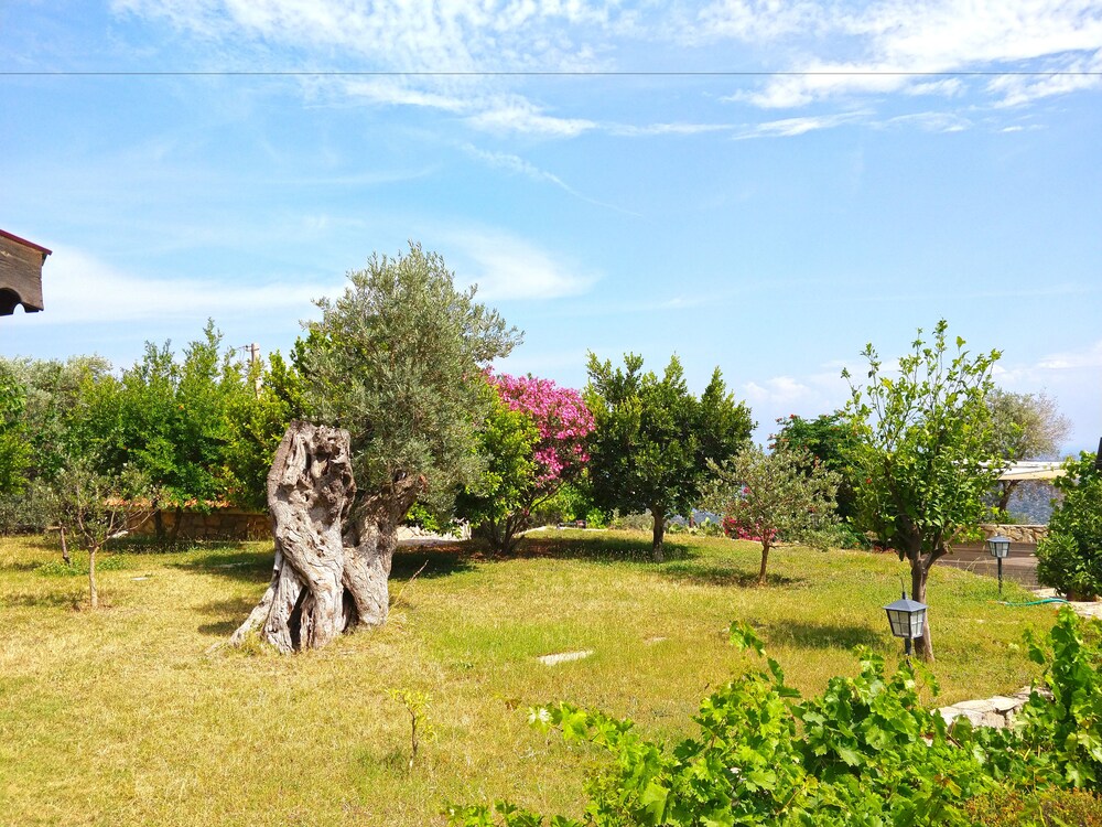 Zephyros Hotel
