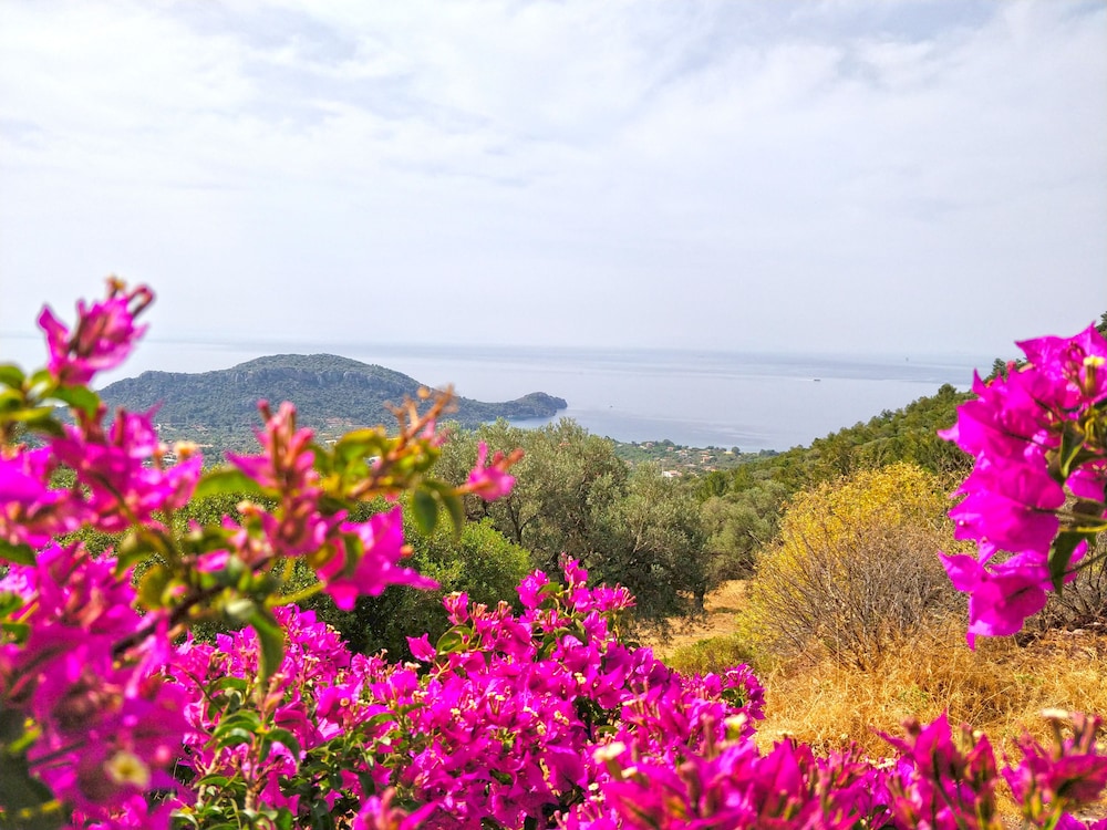 Zephyros Hotel