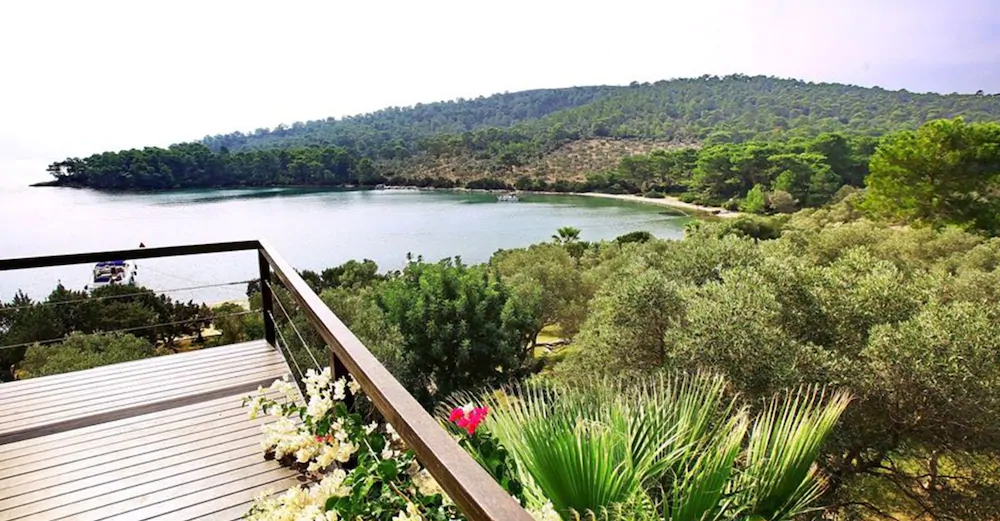 Villa Leo