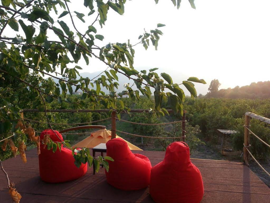 Sun Dalyan Hotel and Organic Farm
