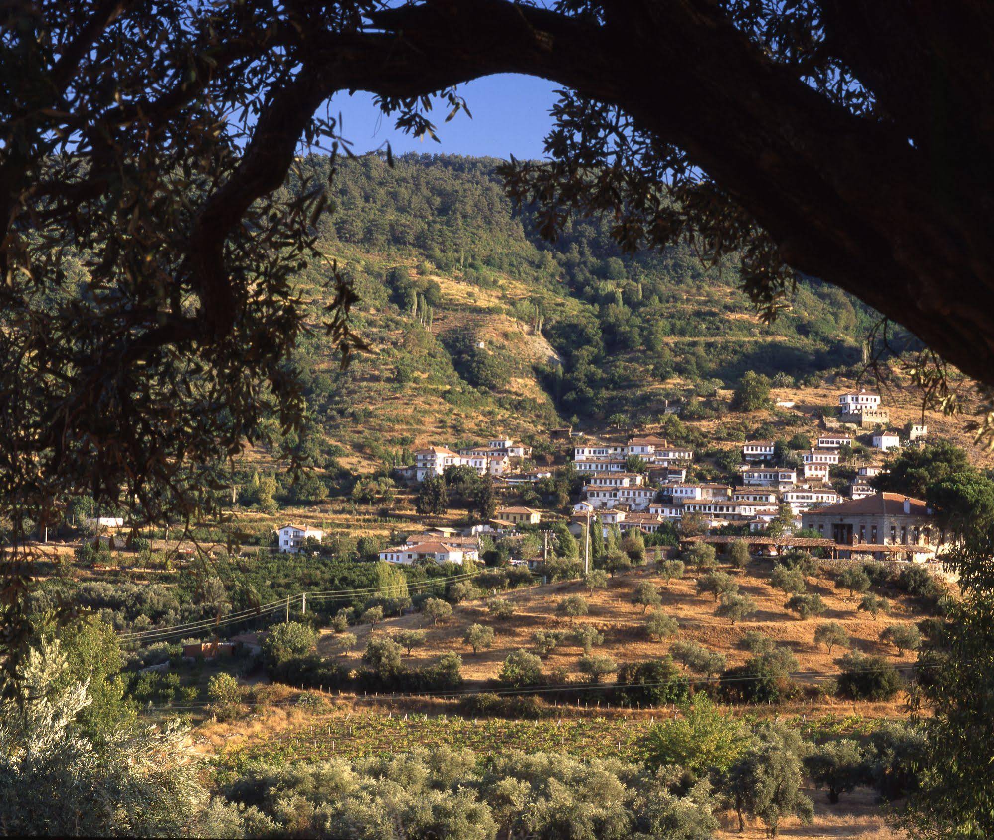 Hotel Sirince Evleri