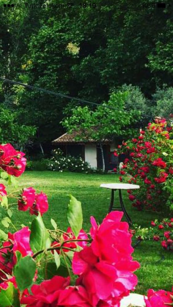 Kucuk Ciftlik Bungalow Evleri
