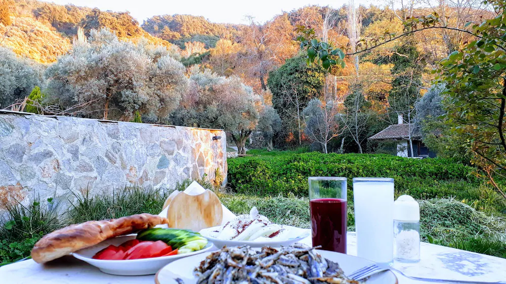 Kucuk Ciftlik Bungalow Evleri