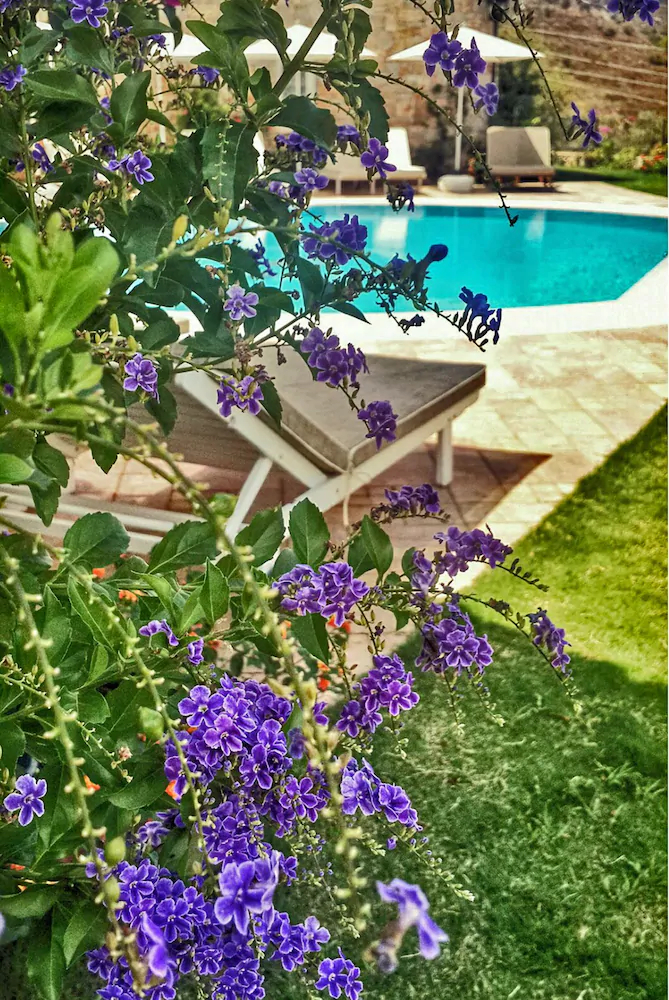 Swan Lake Boutique Hotel