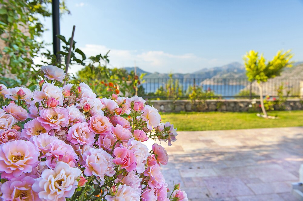 Swan Lake Boutique Hotel