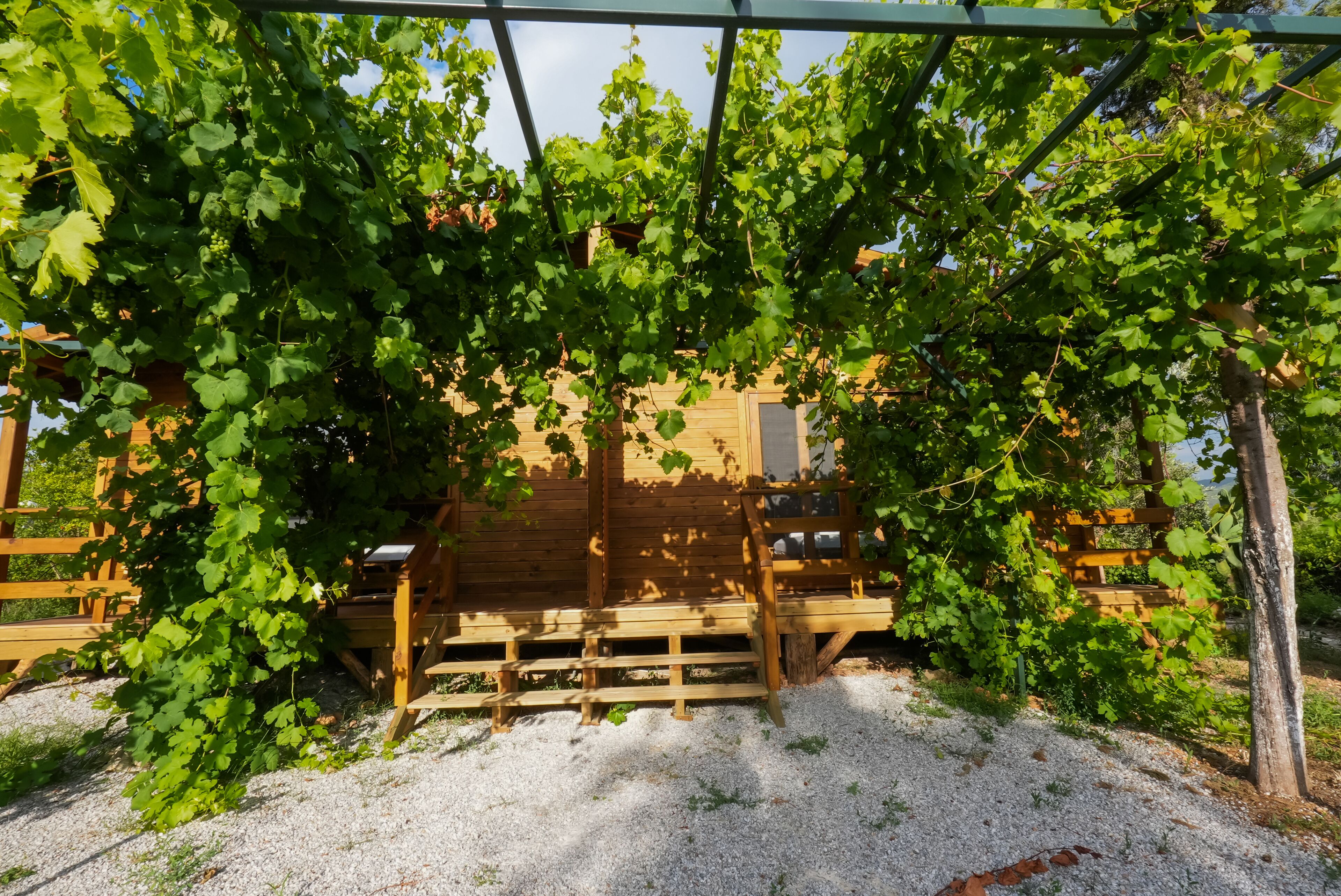 Yucca House Gökova