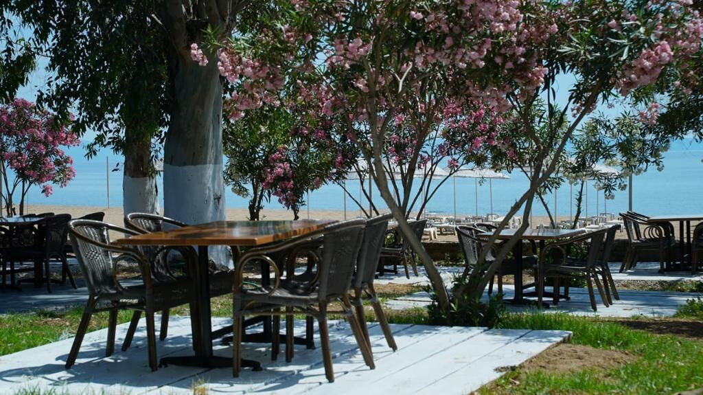 Club Beyy Resort Hotel