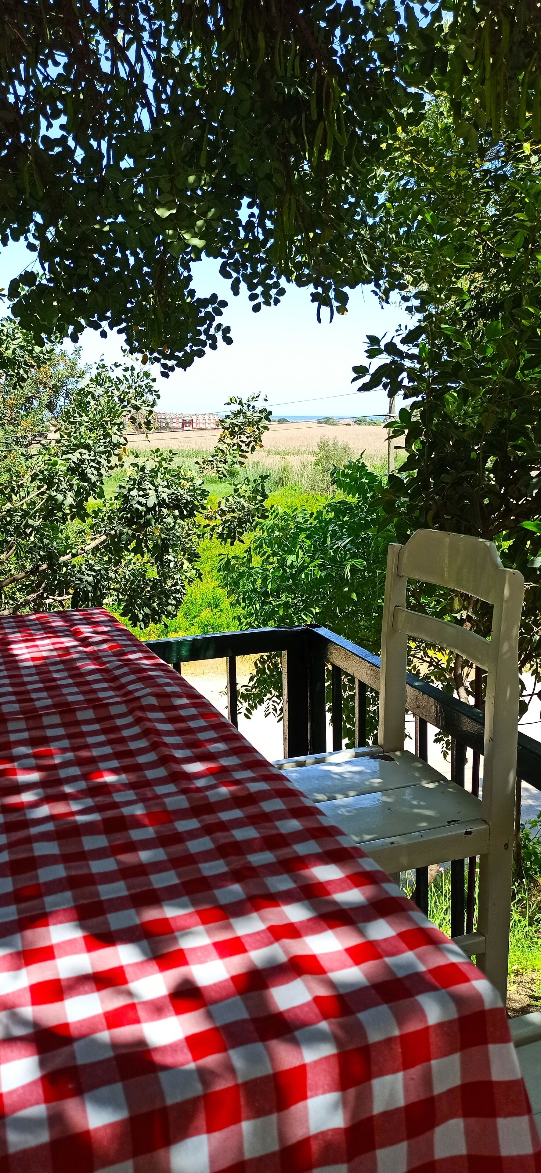 Swiss Eviniz Hotel