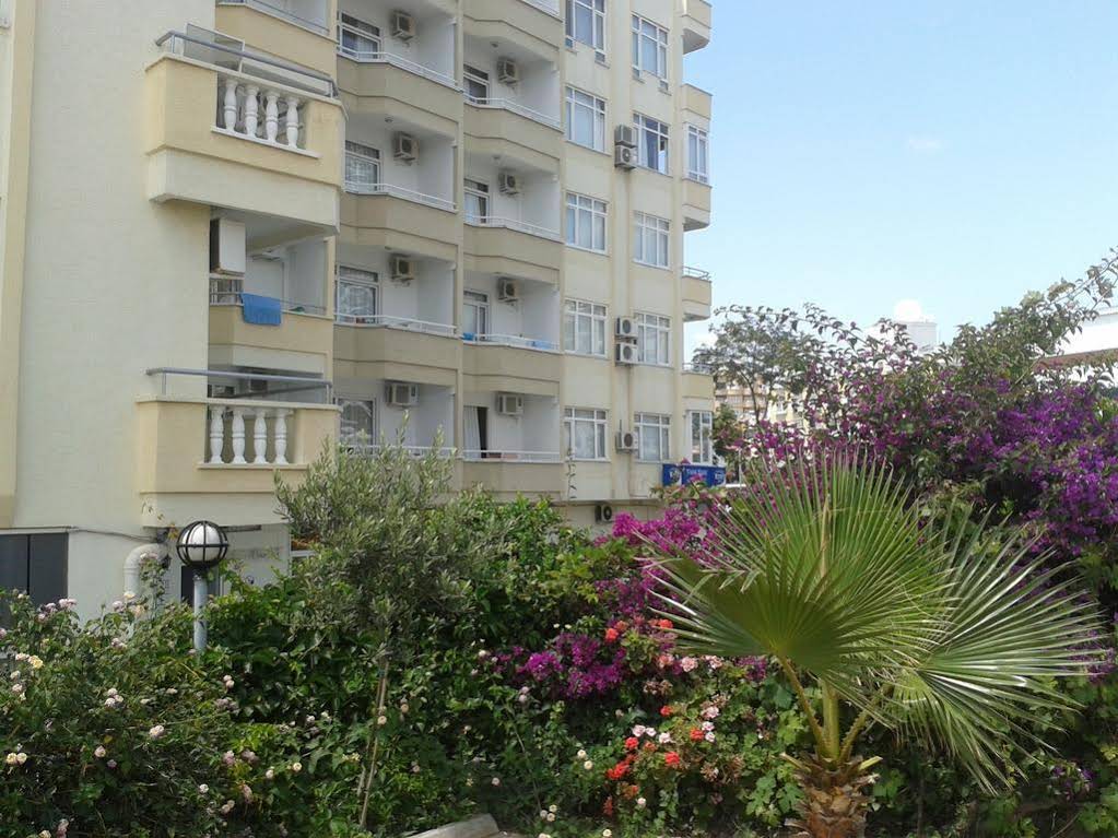 Orange Grove Apart