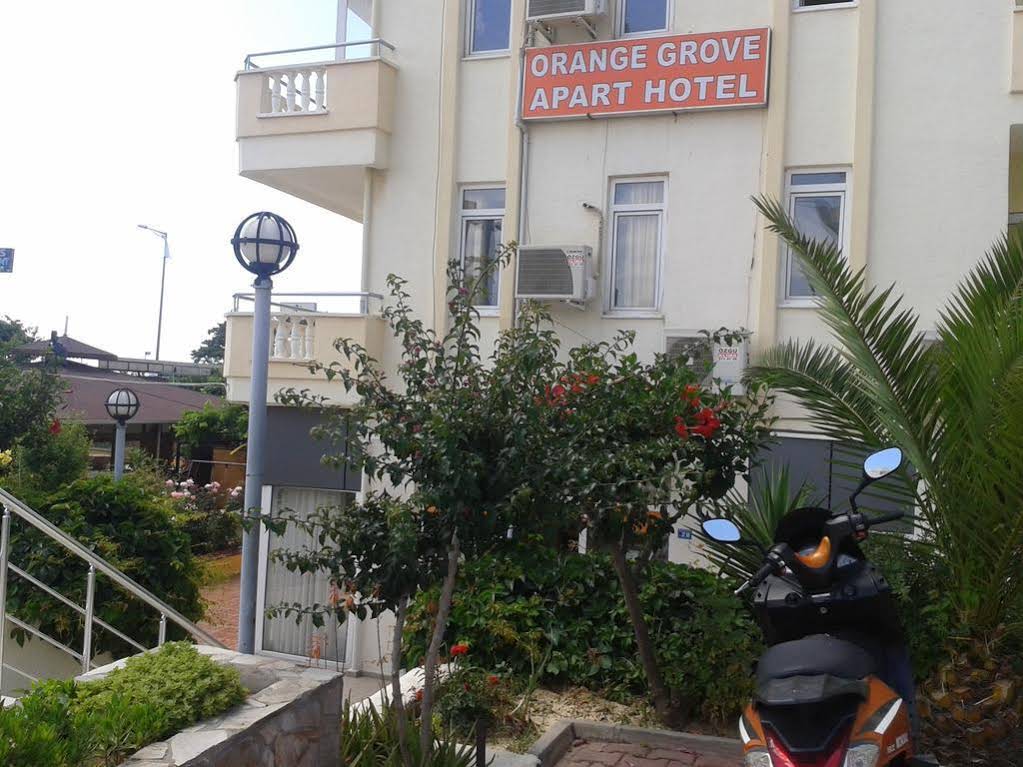 Orange Grove Apart