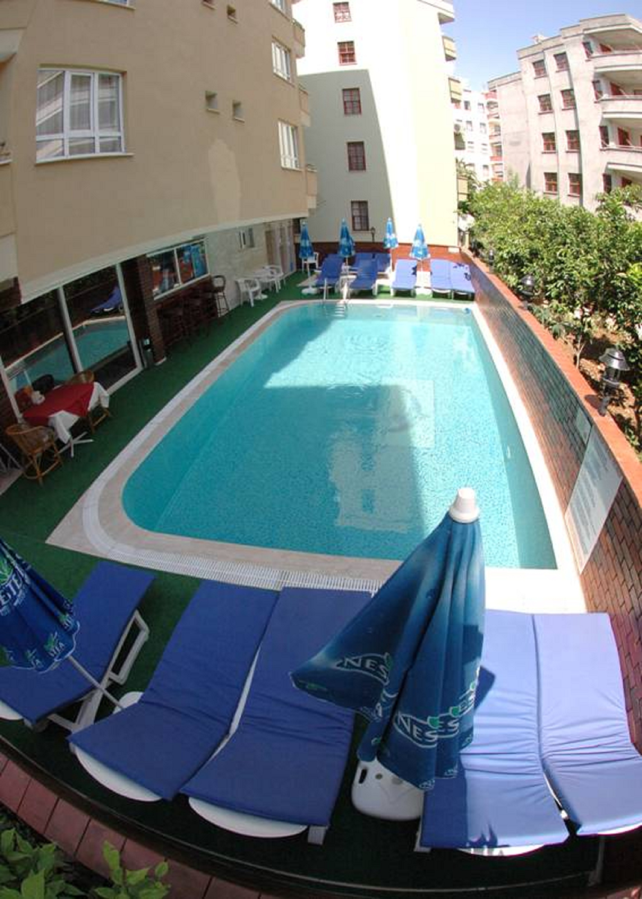 Miss Cleopatra Hotel