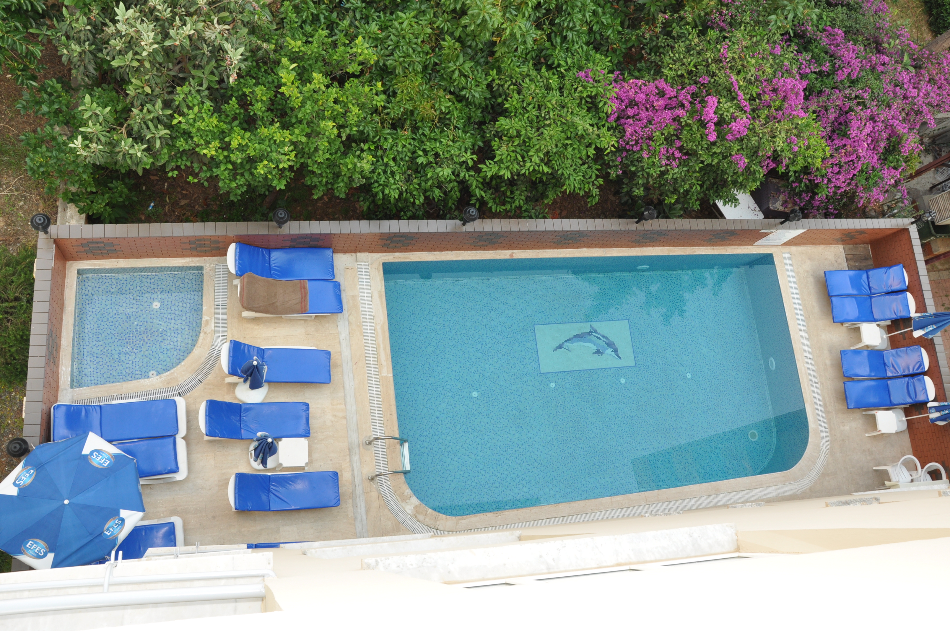 Miss Cleopatra Hotel