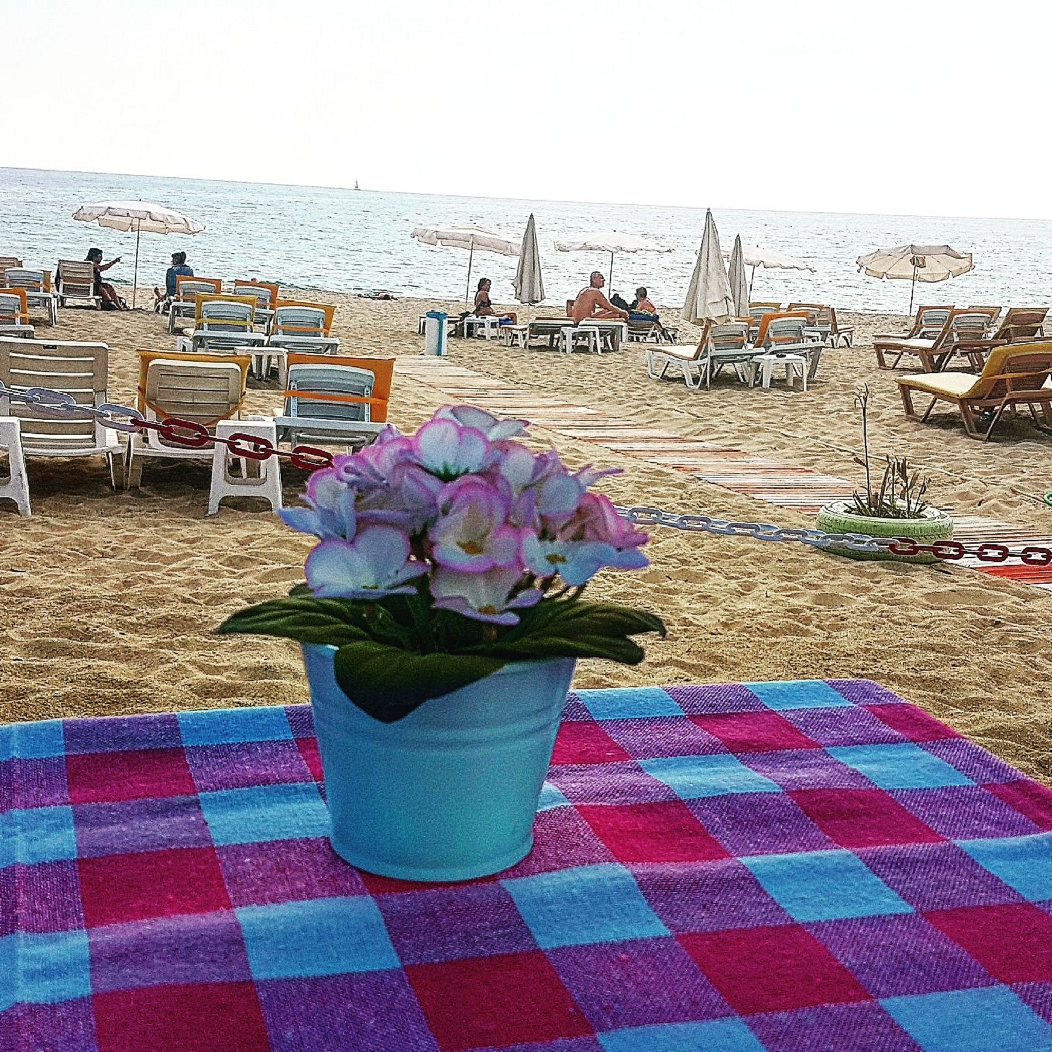 Miss Cleopatra Hotel