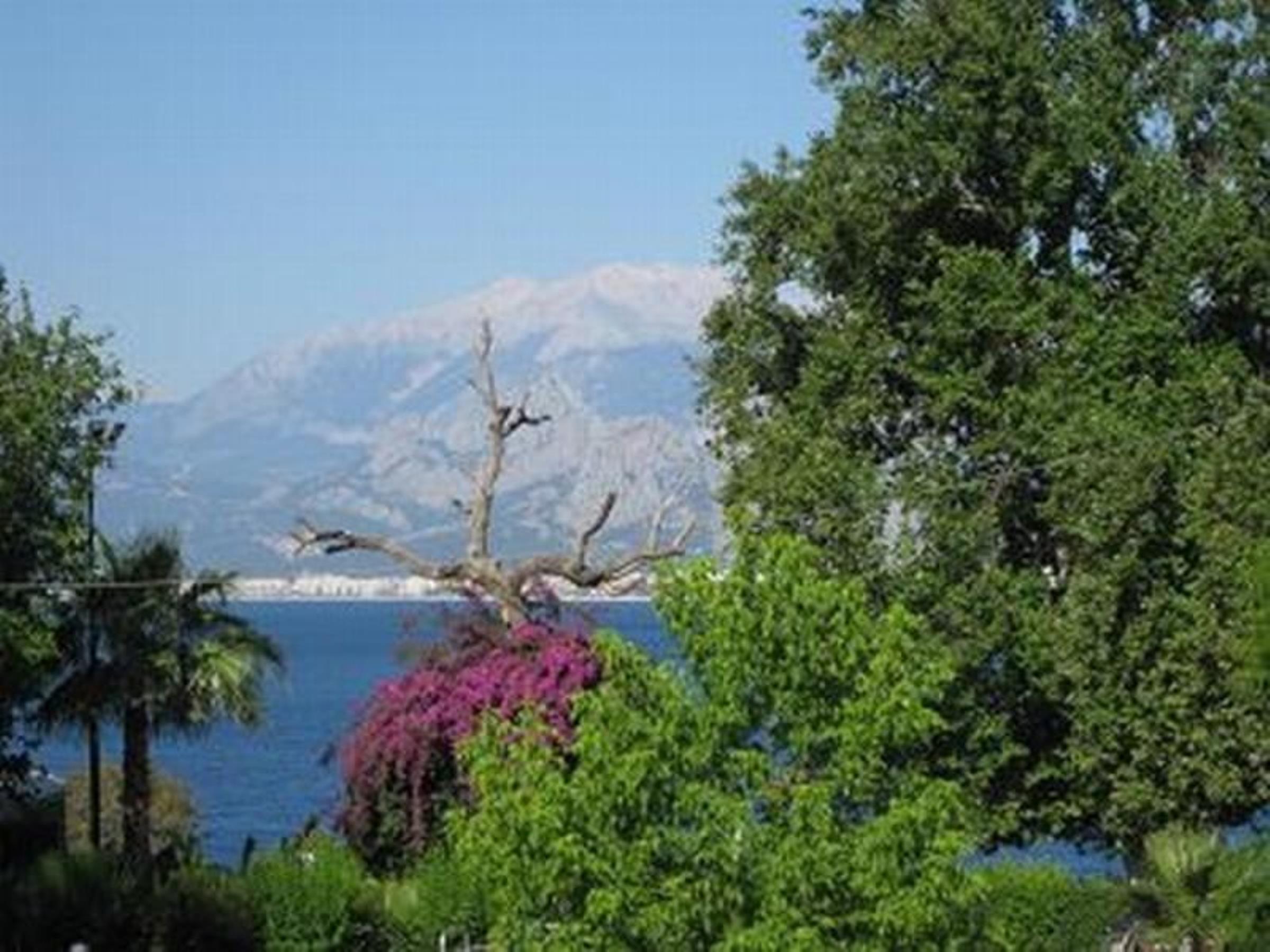 Blue Sea Garden