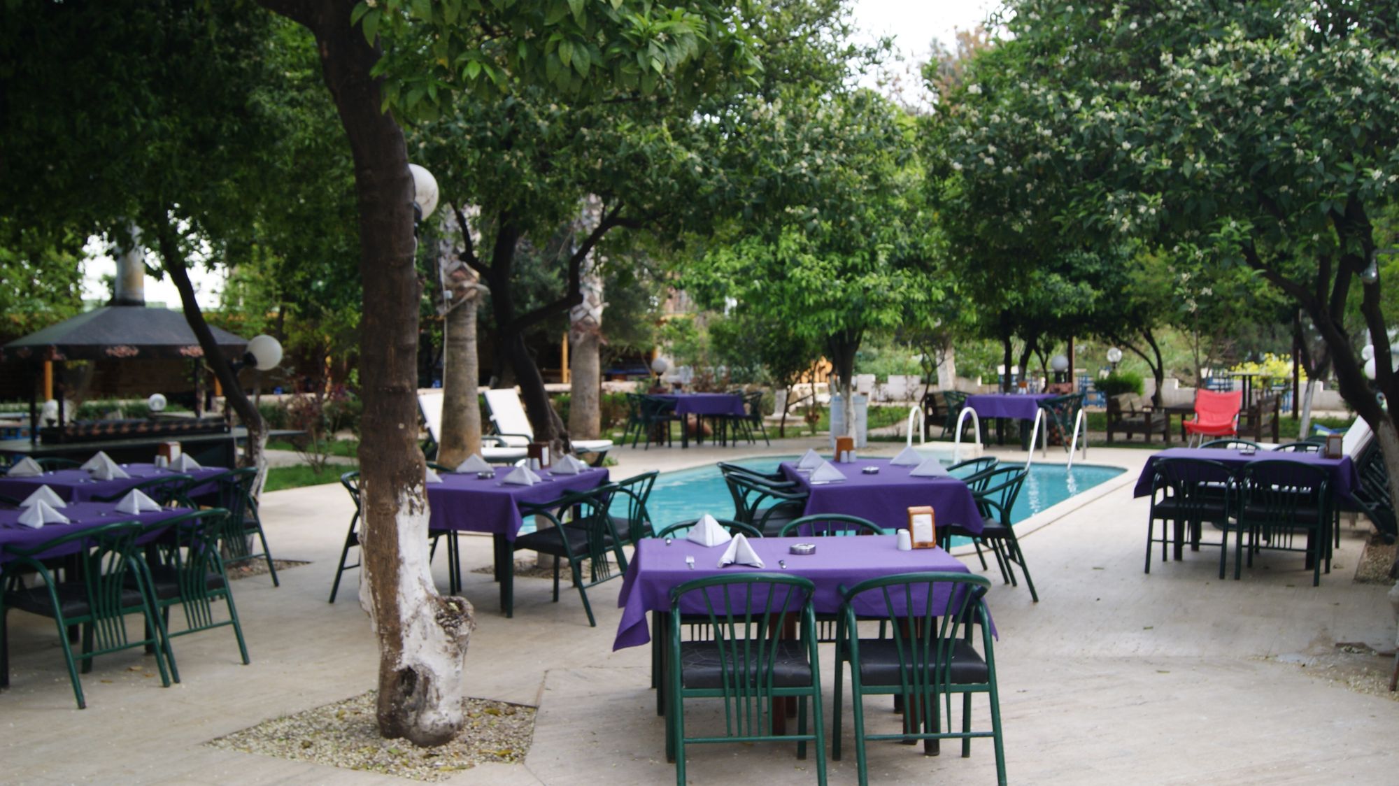 Blue Sea Garden