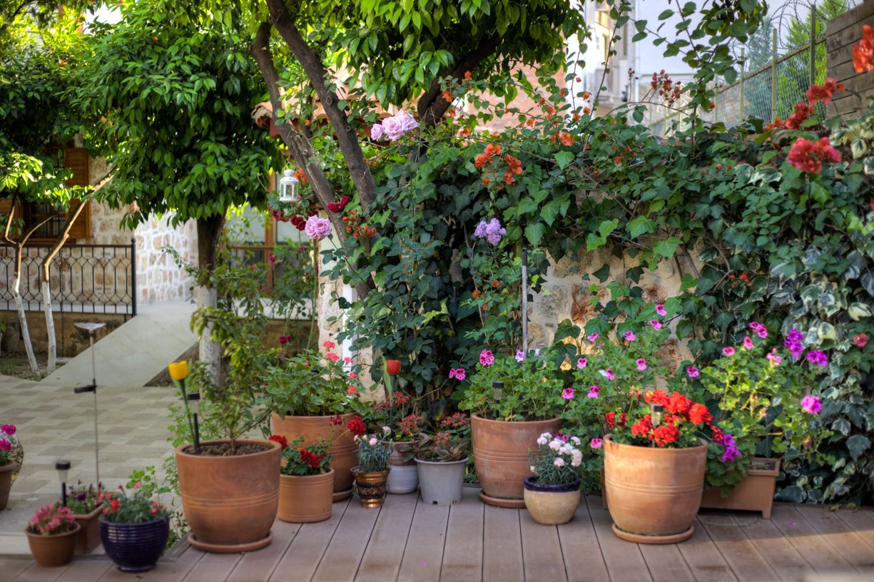 Citrus Garden Hotel