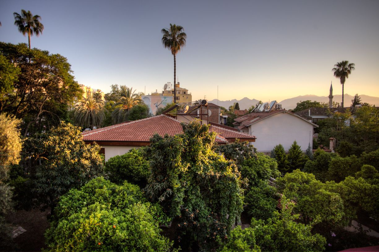Citrus Garden Hotel