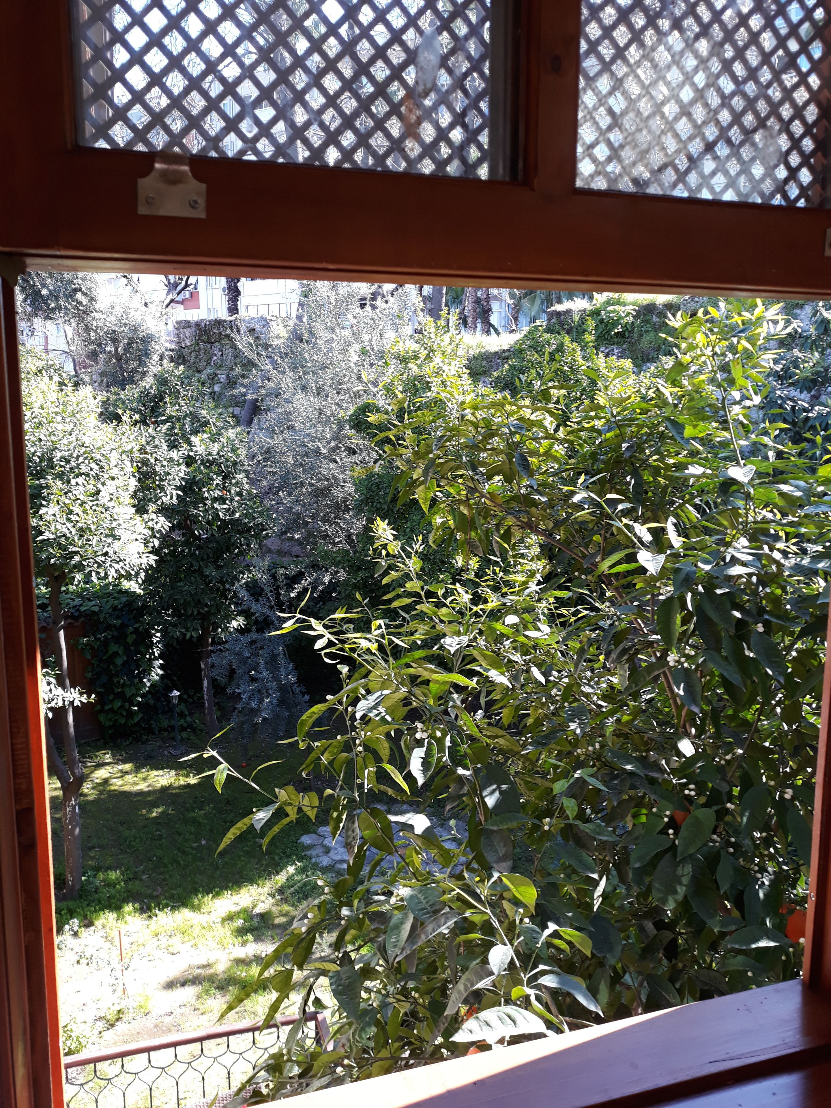 Citrus Garden Hotel