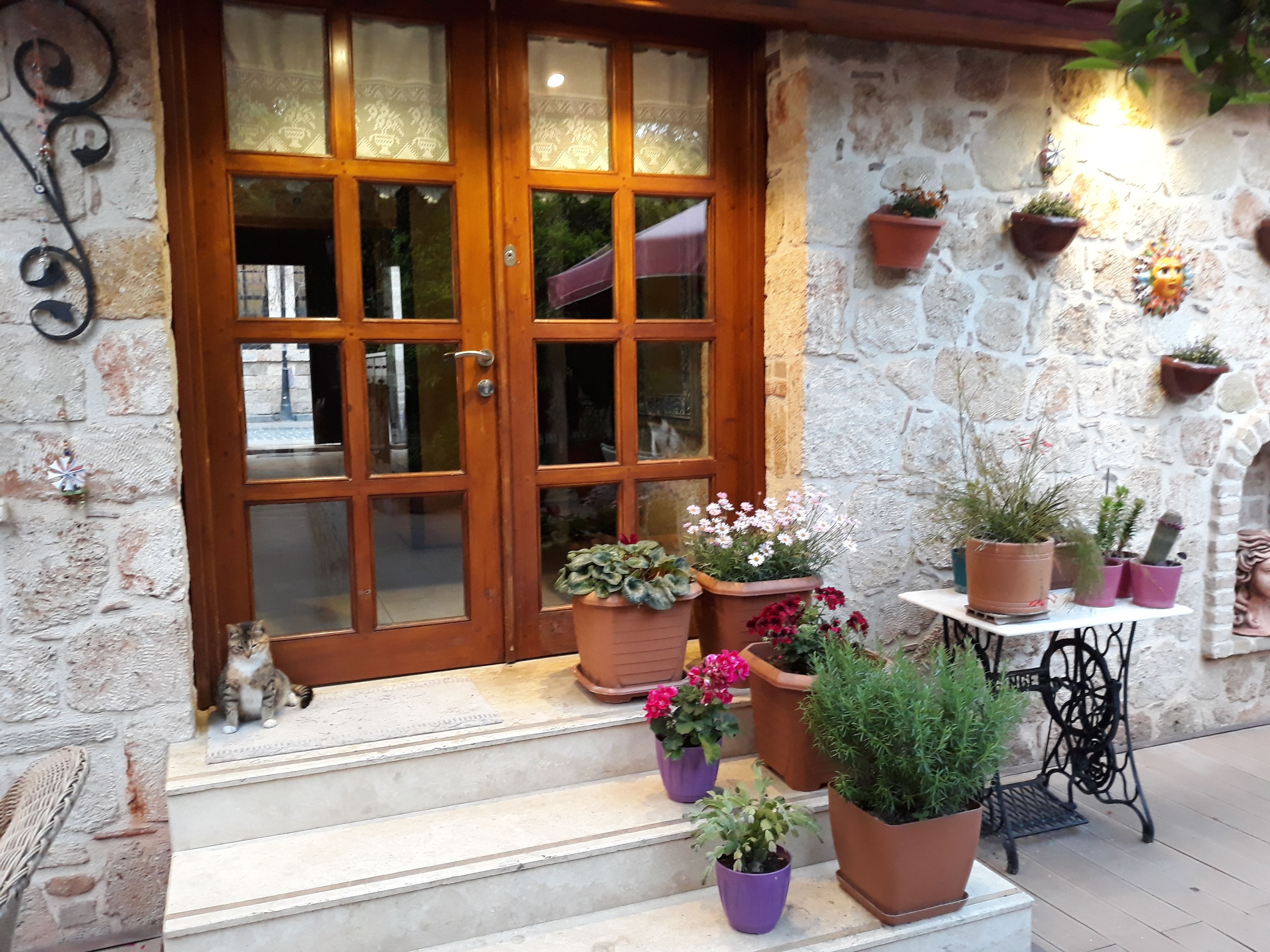 Citrus Garden Hotel