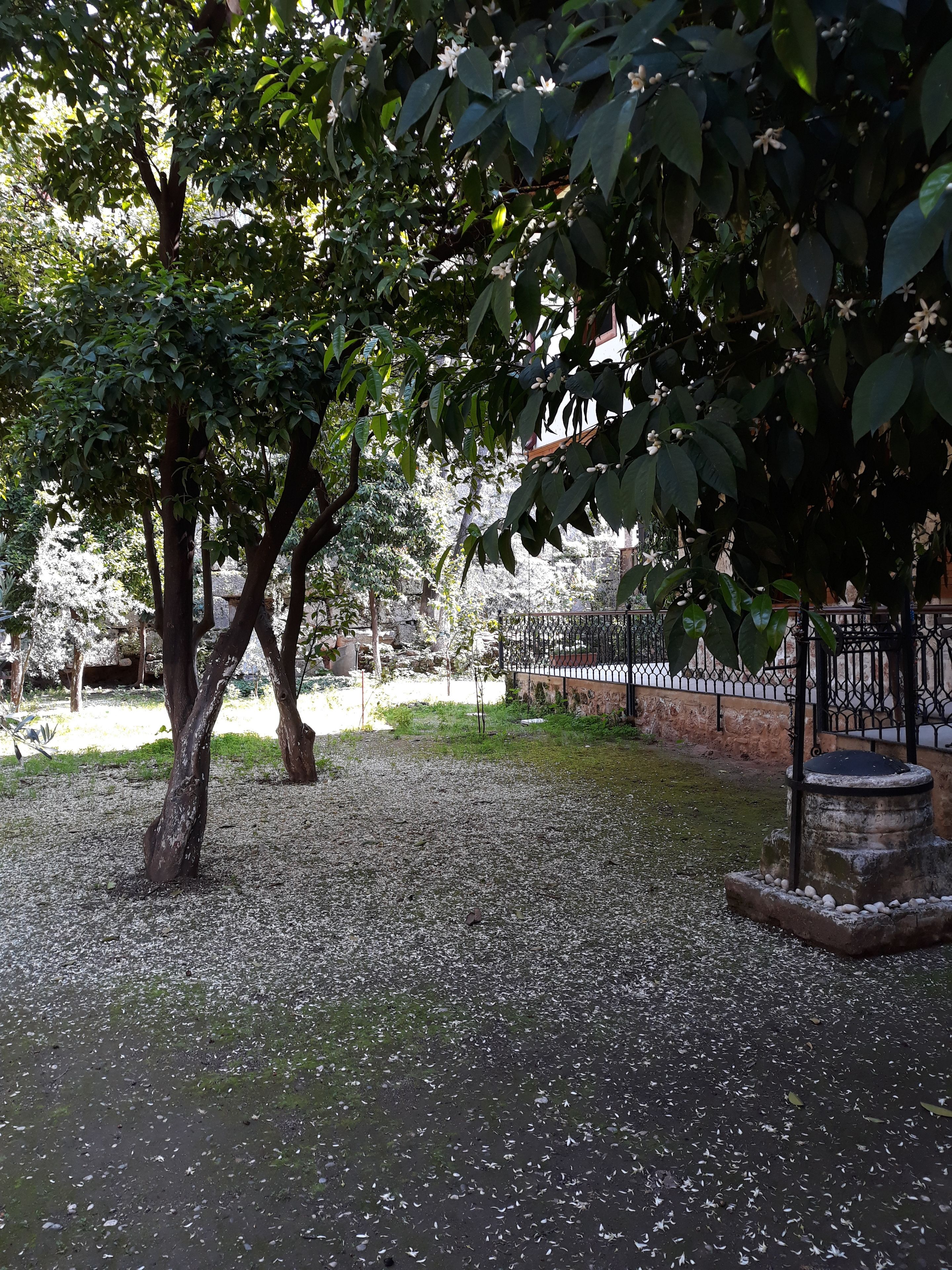 Citrus Garden Hotel