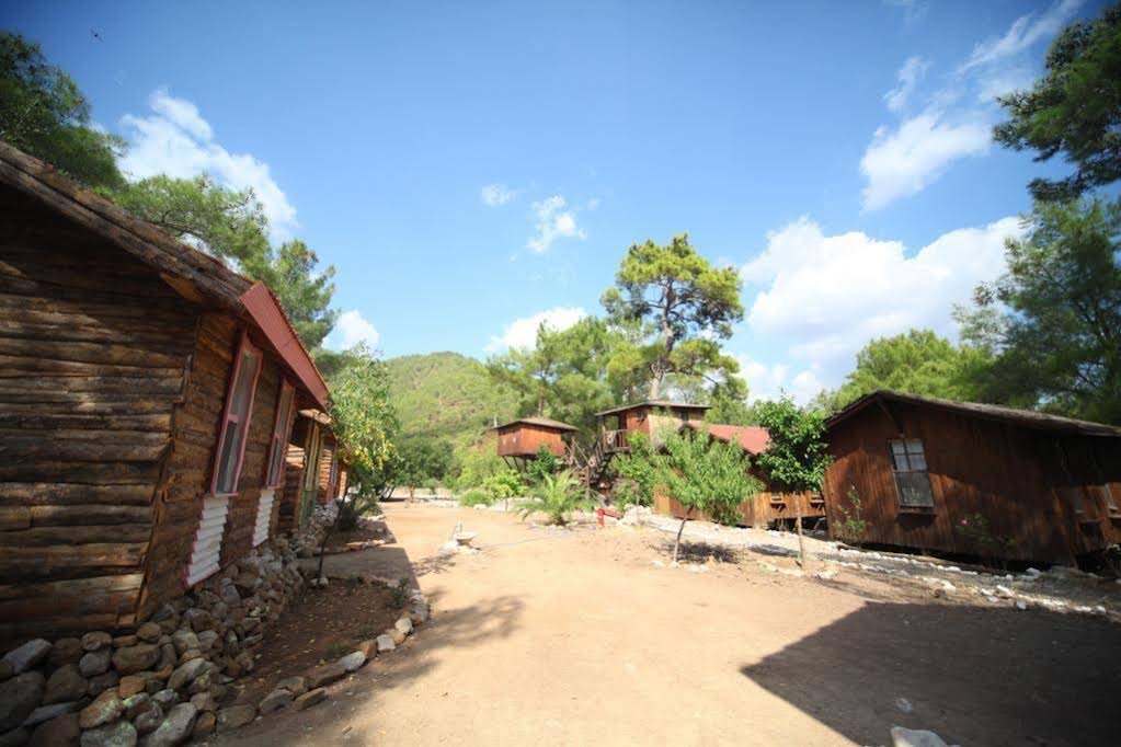 Jungle Bells Hostel