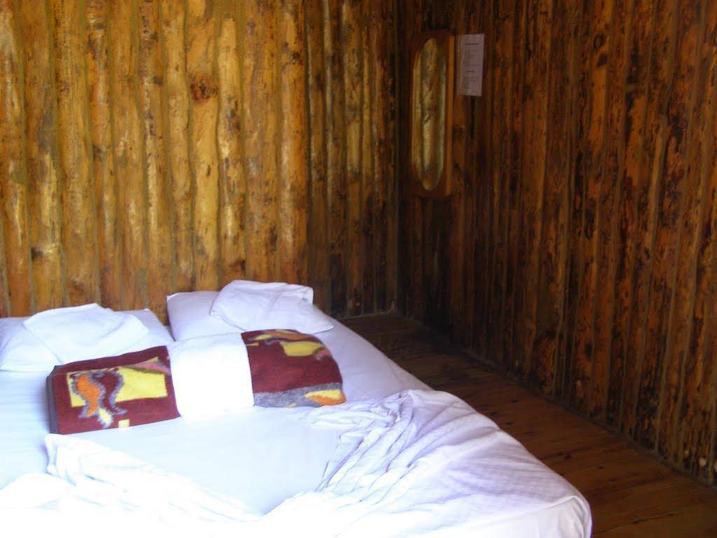 Jungle Bells Hostel