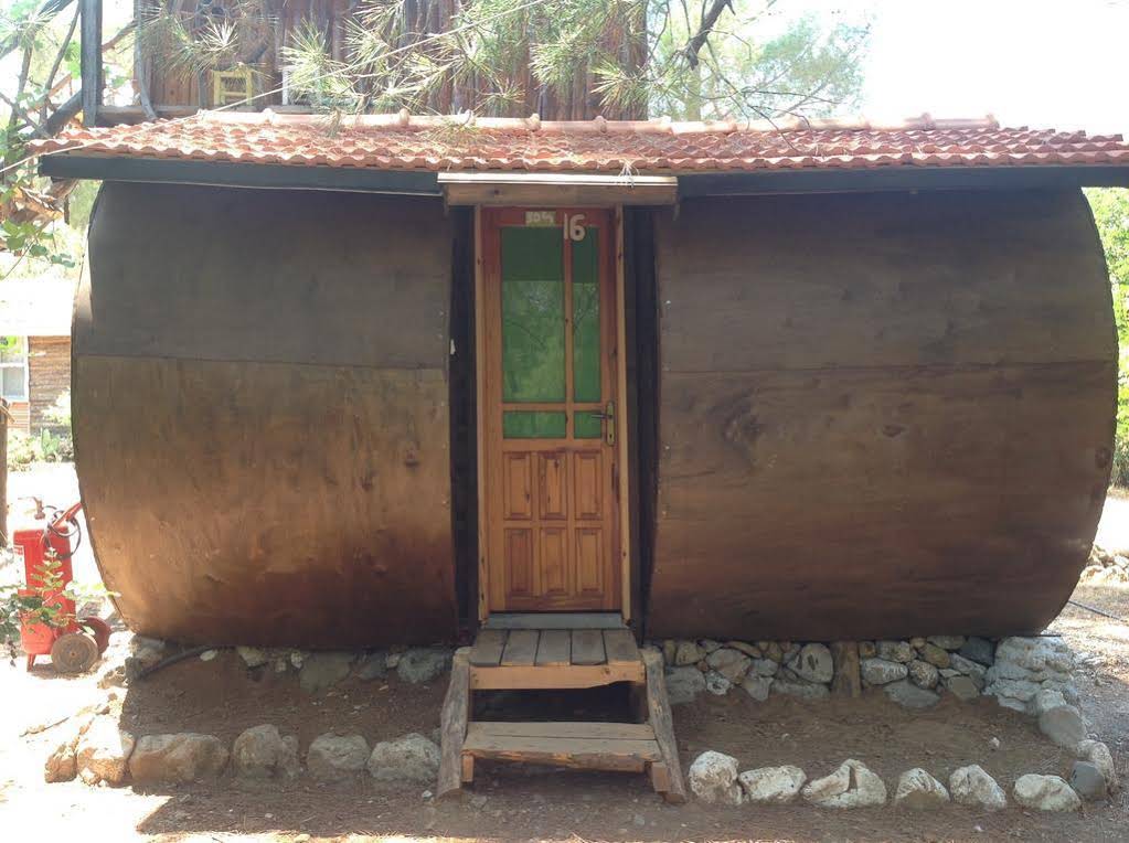 Jungle Bells Hostel