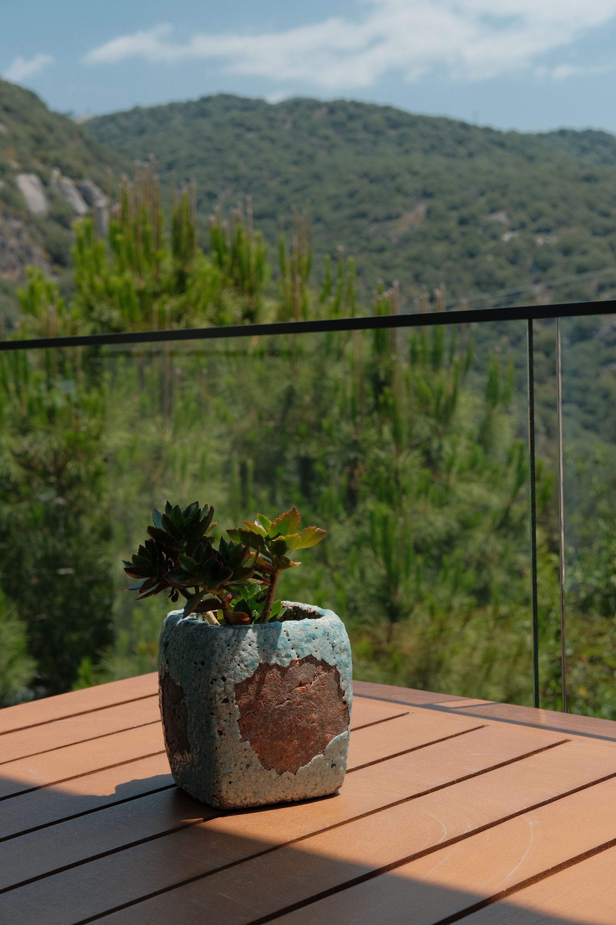 Kaktus Suites Hotel