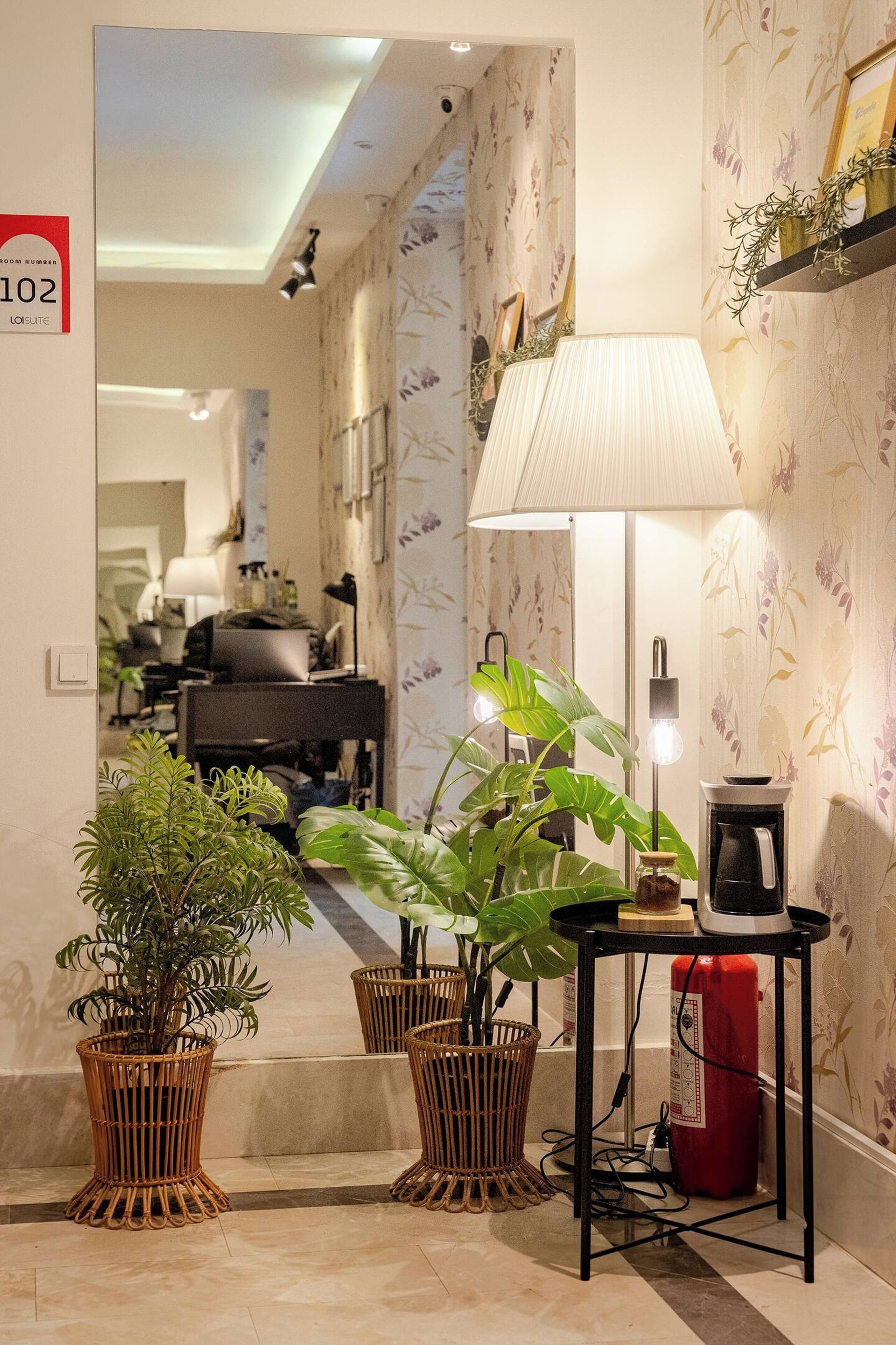 Loi Suite