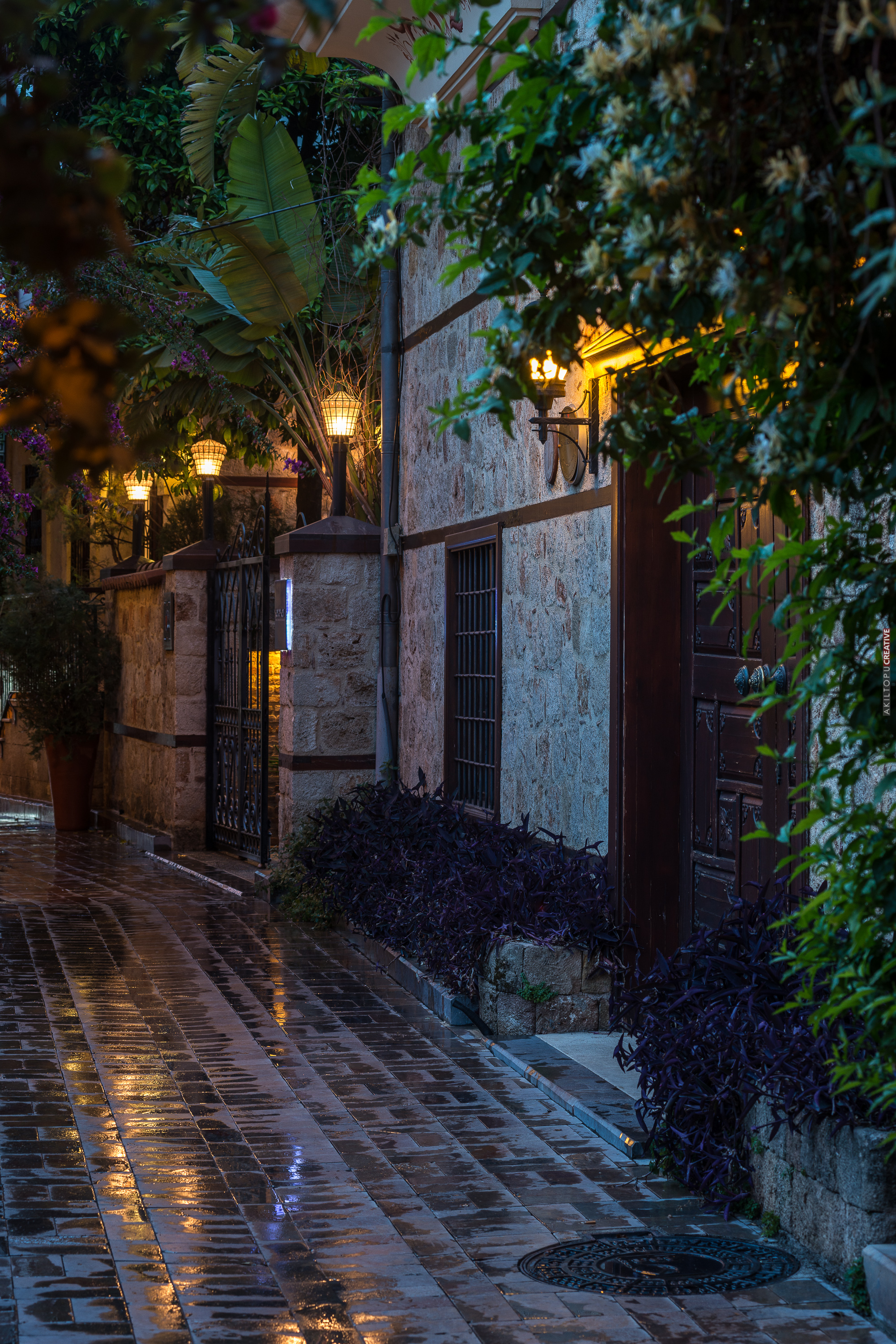 Tuvana
