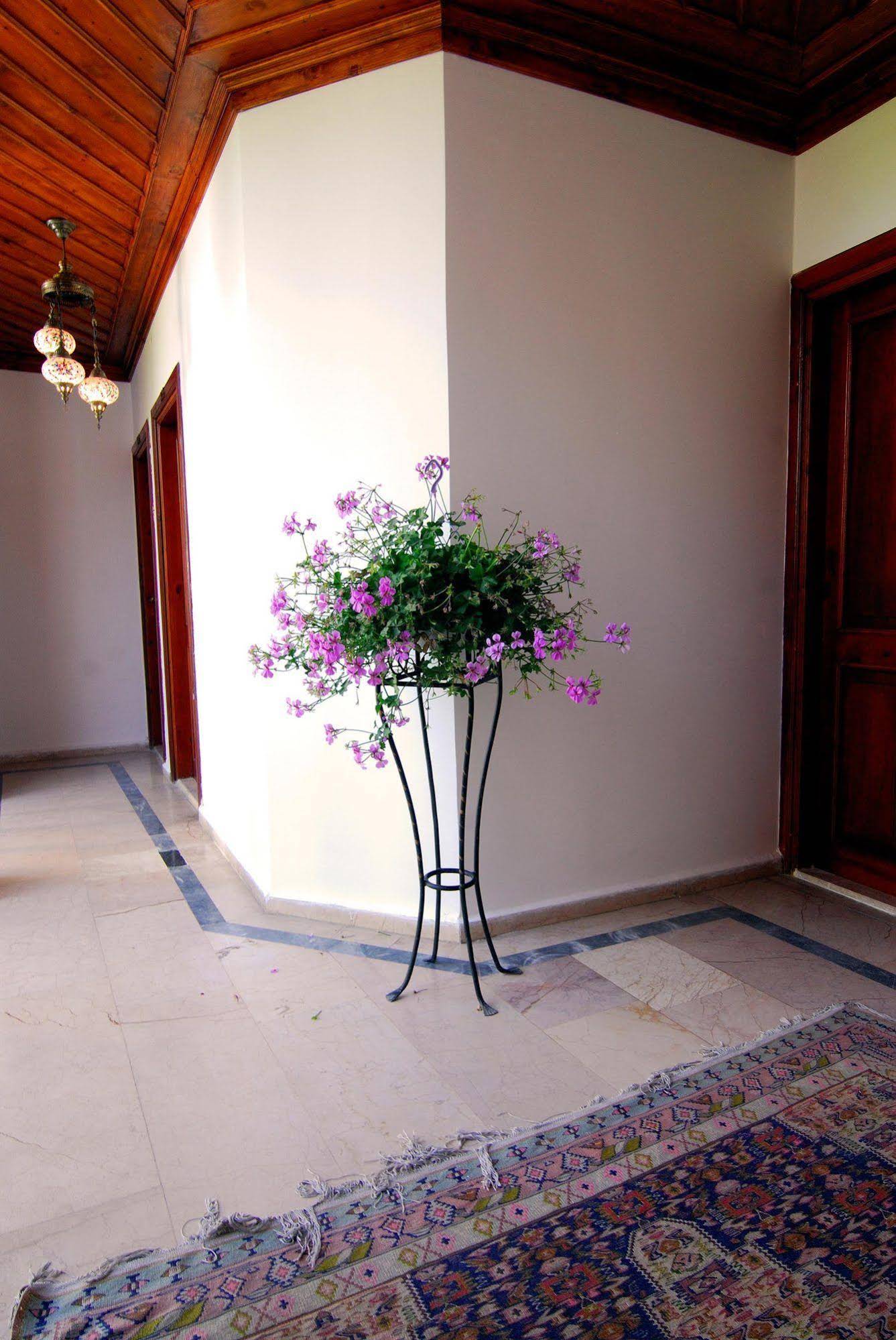 White Garden Pansion
