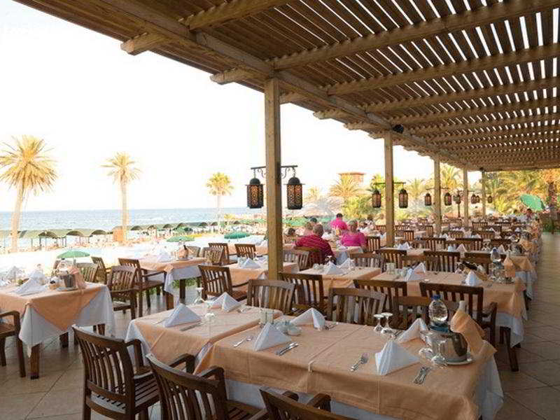 Gypsophila Club Marine