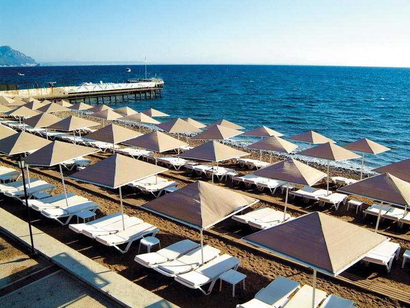 Gypsophila Club Marine