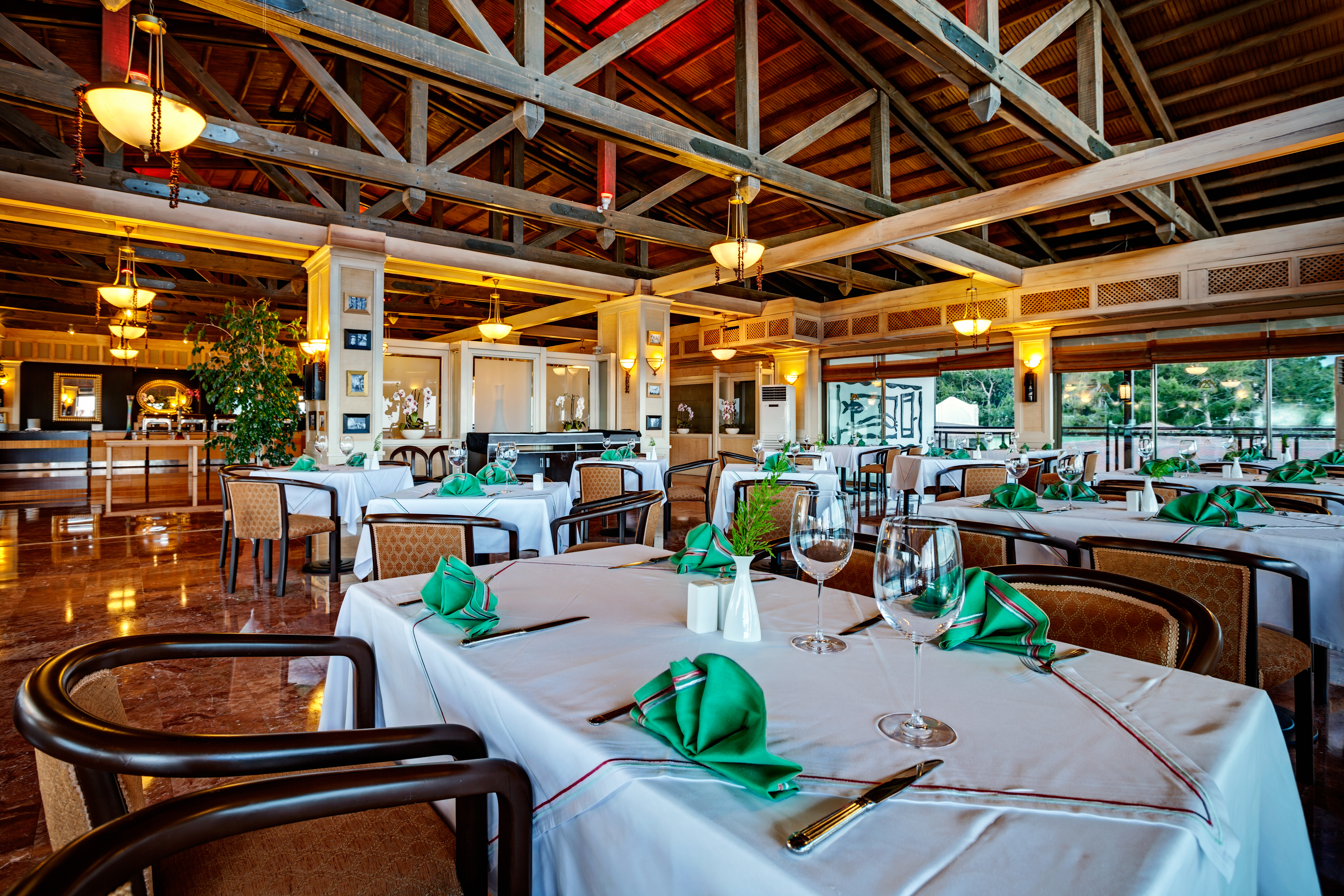 Gypsophila Club Marine