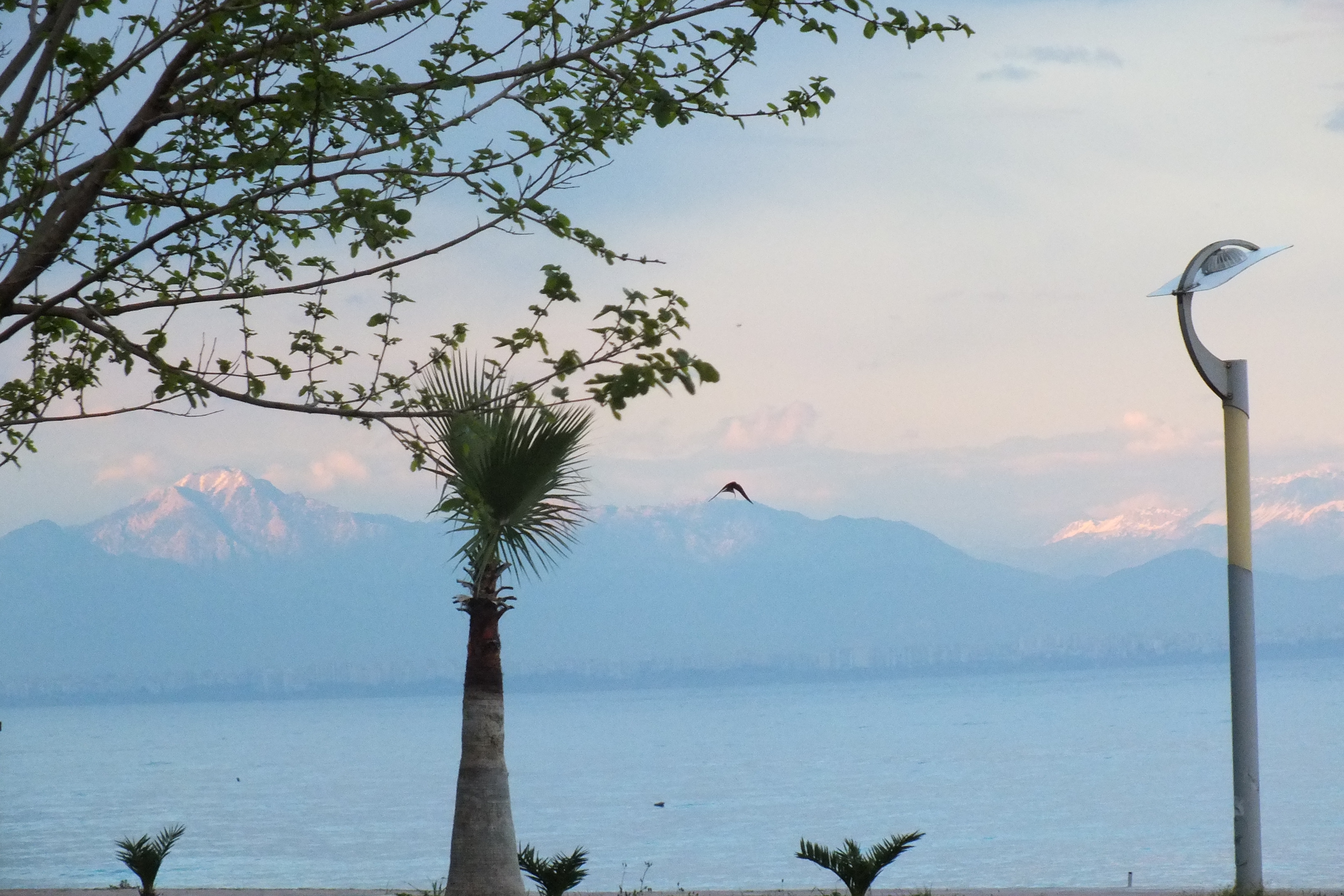 MOY Beldibi Hotel