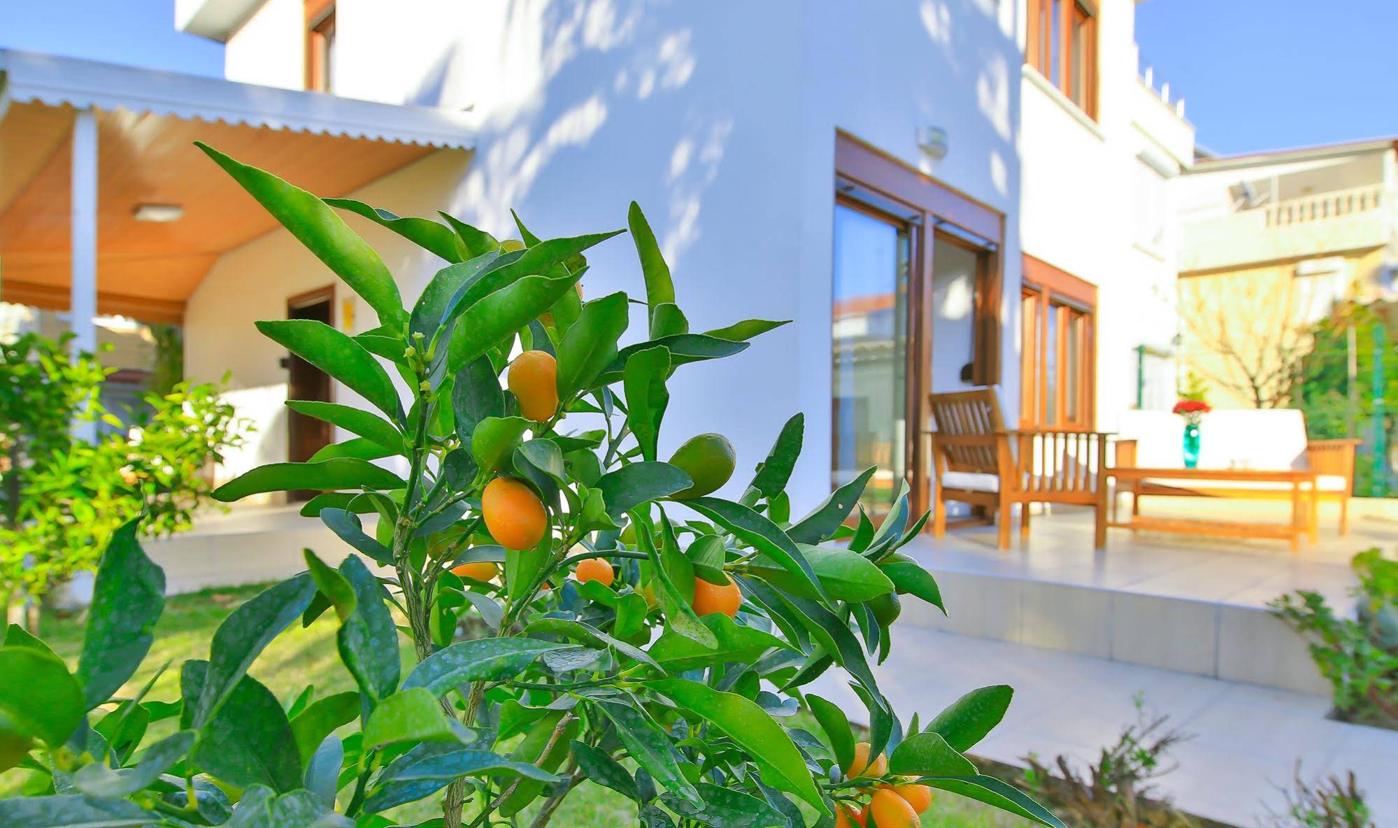 EV Villas