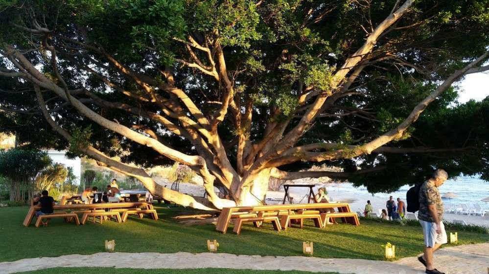 Marvel Tree Hotel Bozyazi